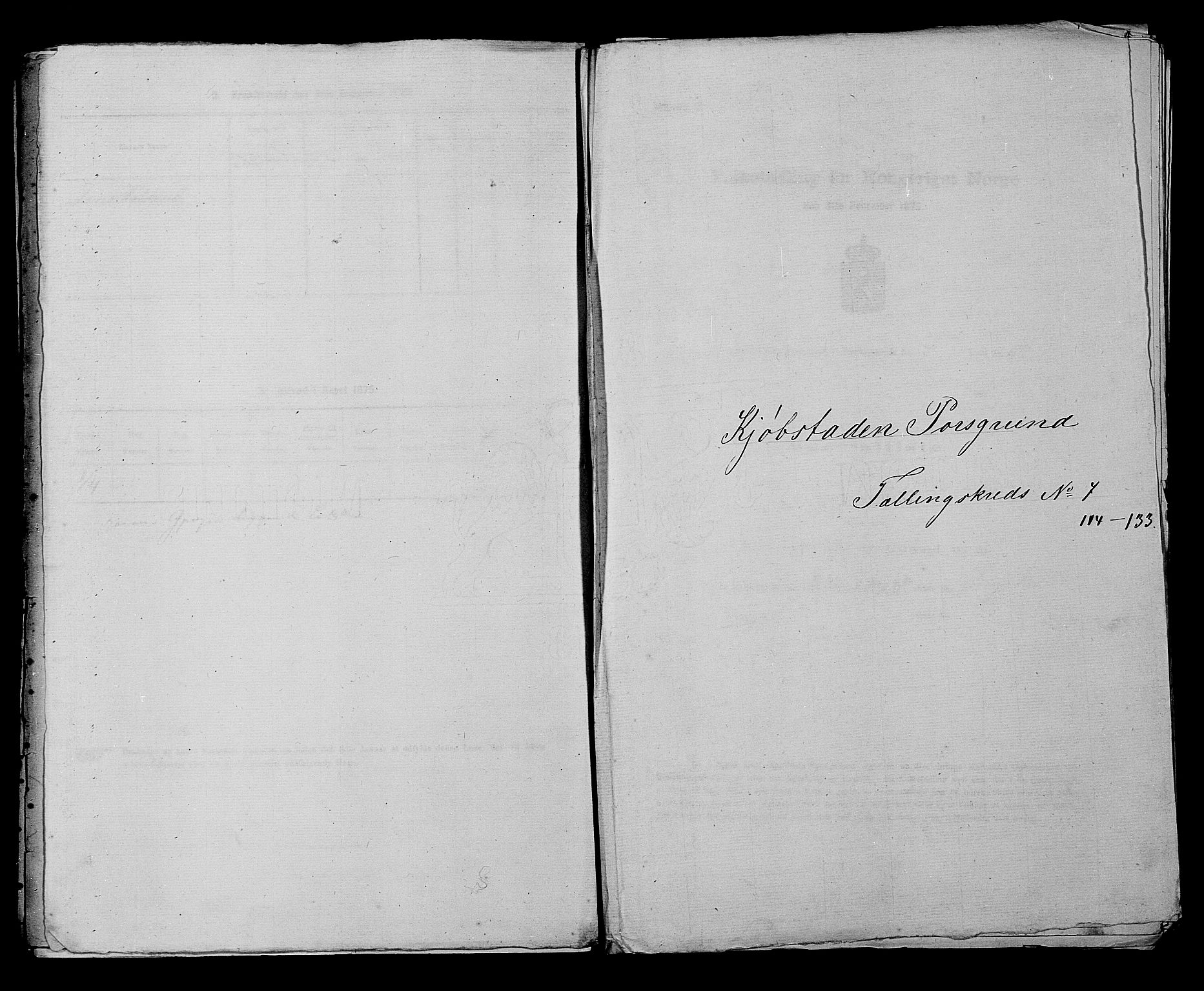 SAKO, Folketelling 1875 for 0805P Porsgrunn prestegjeld, 1875, s. 276