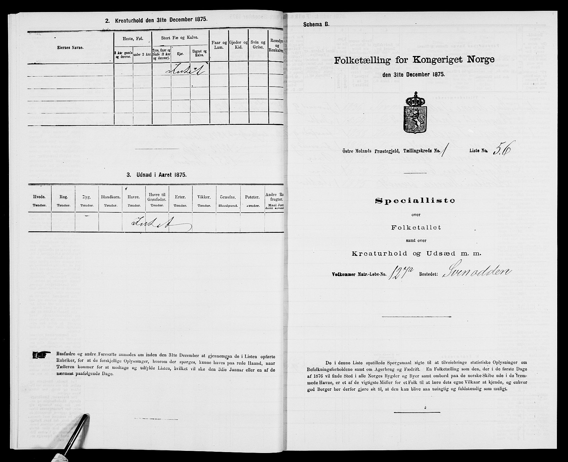 SAK, Folketelling 1875 for 0918P Austre Moland prestegjeld, 1875, s. 226