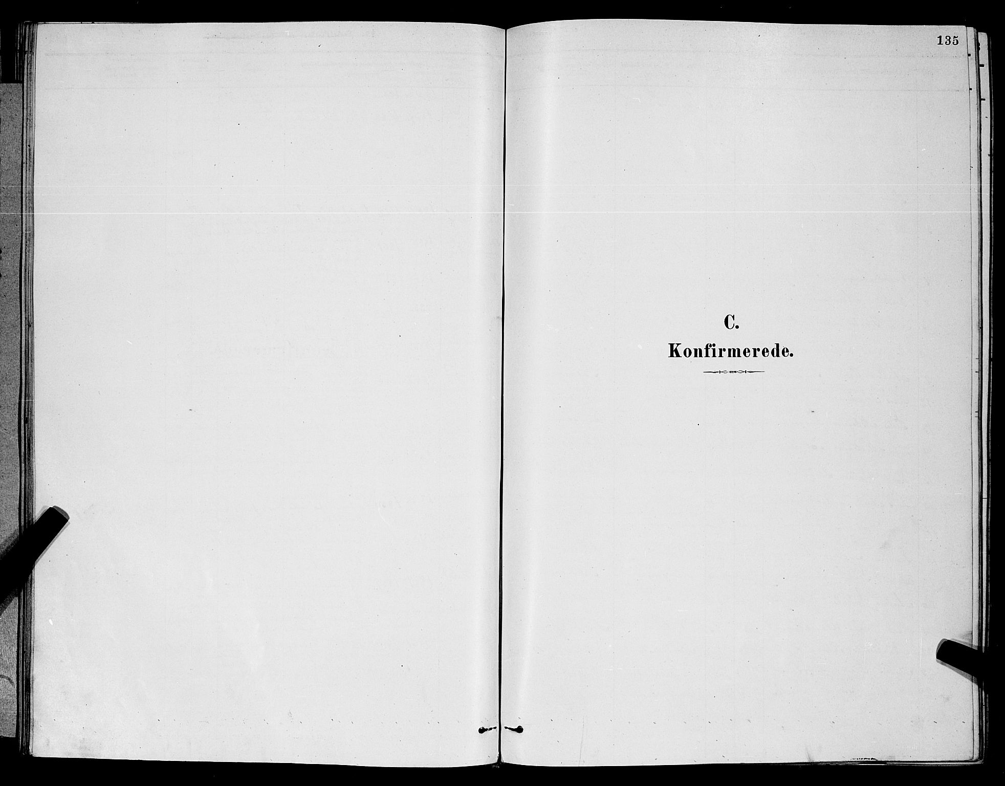 Eidanger kirkebøker, SAKO/A-261/G/Ga/L0002: Klokkerbok nr. 2, 1879-1892, s. 135
