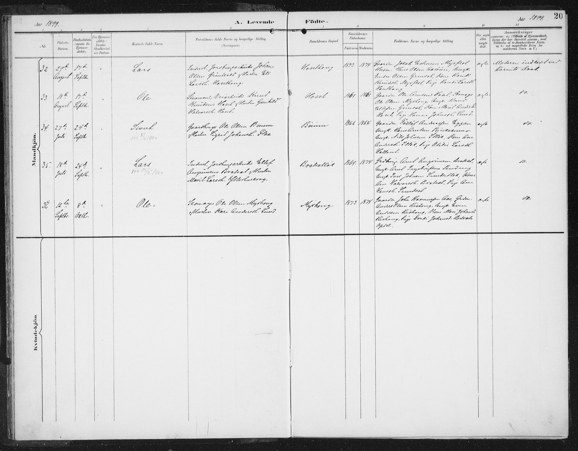 Ministerialprotokoller, klokkerbøker og fødselsregistre - Sør-Trøndelag, AV/SAT-A-1456/674/L0872: Ministerialbok nr. 674A04, 1897-1907, s. 20
