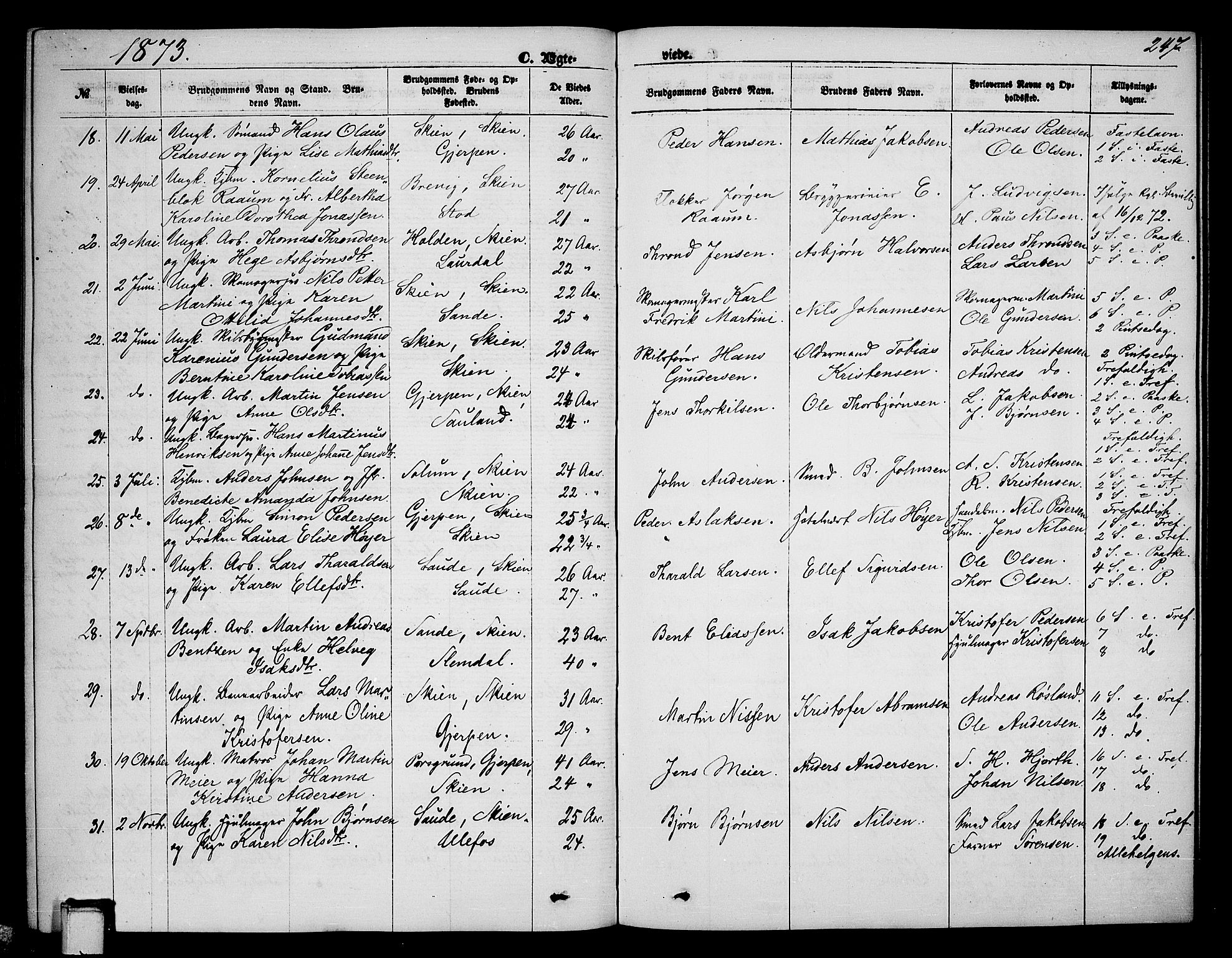 Skien kirkebøker, AV/SAKO-A-302/G/Ga/L0005: Klokkerbok nr. 5, 1868-1880, s. 247