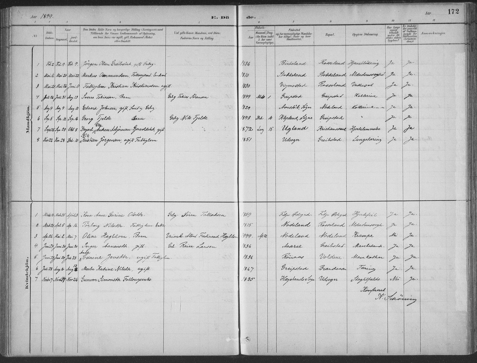 Søgne sokneprestkontor, AV/SAK-1111-0037/F/Fa/Faa/L0003: Ministerialbok nr. A 3, 1883-1910, s. 172