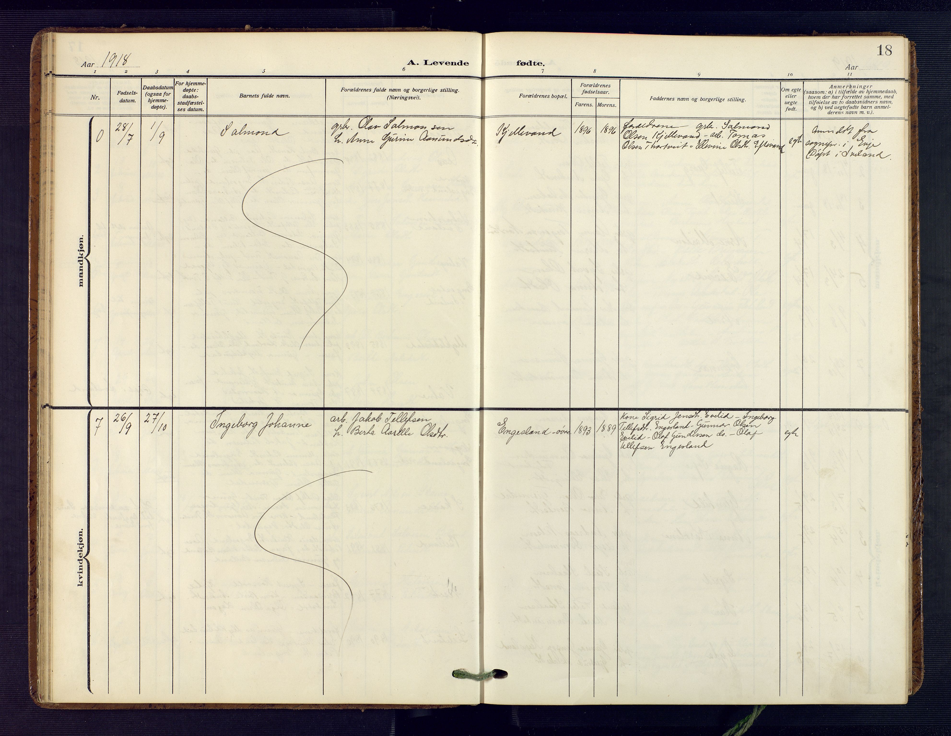 Herefoss sokneprestkontor, AV/SAK-1111-0019/F/Fa/Fab/L0005: Ministerialbok nr. A 5, 1910-1932, s. 18