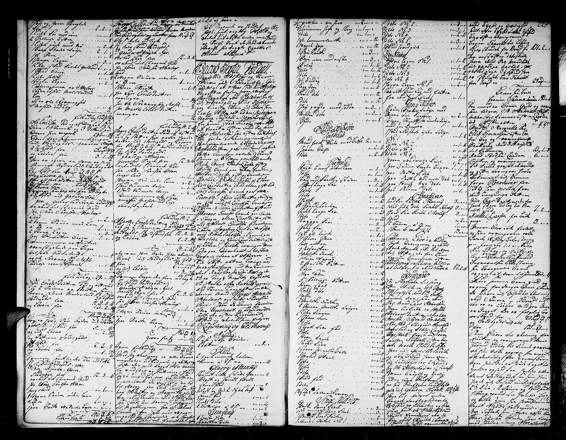 Nedenes sorenskriveri før 1824, SAK/1221-0007/H/Hc/L0017: Skifteprotokoll med register nr 13a, 1734-1737, s. 223b-224a
