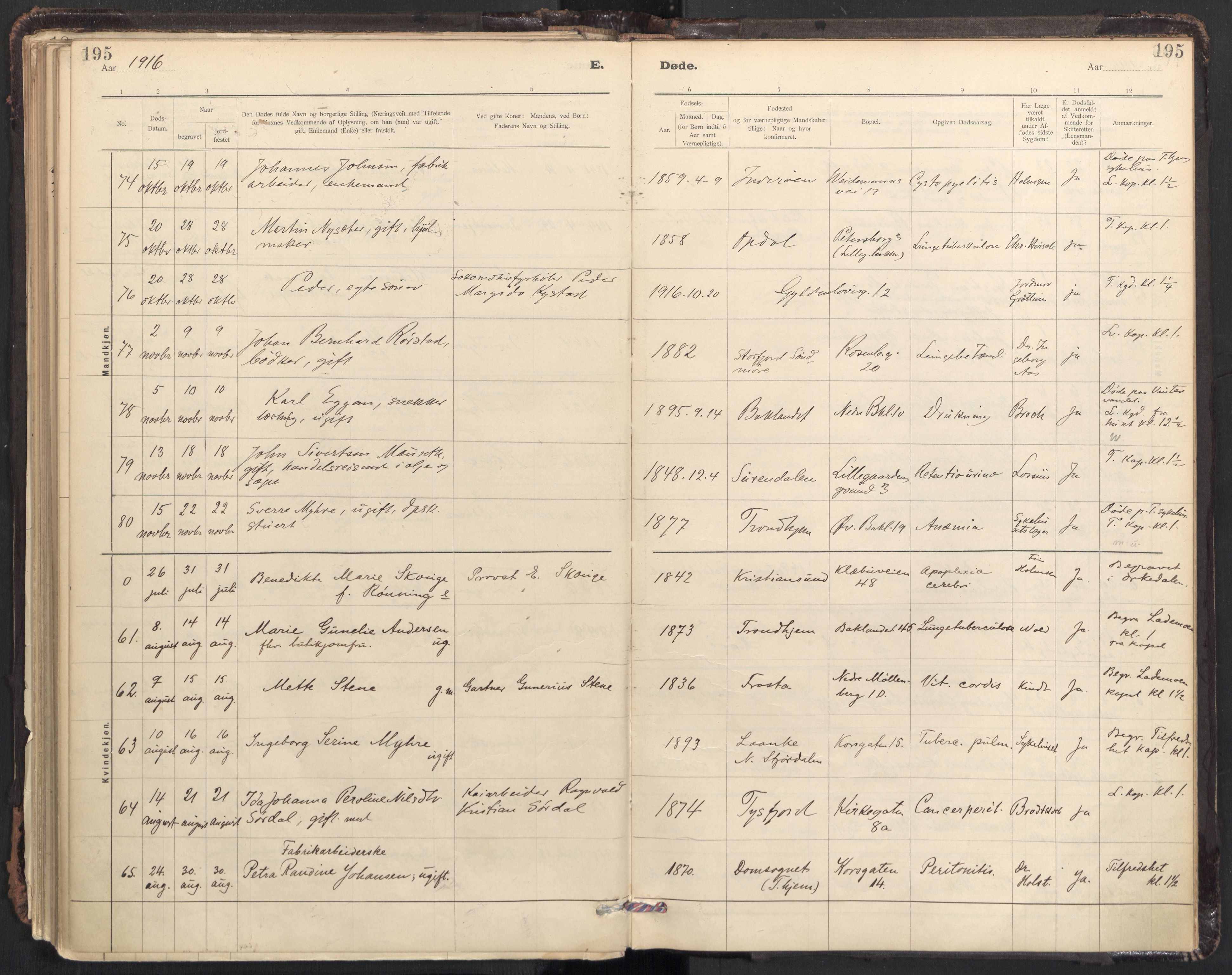 Ministerialprotokoller, klokkerbøker og fødselsregistre - Sør-Trøndelag, SAT/A-1456/604/L0204: Ministerialbok nr. 604A24, 1911-1920, s. 195