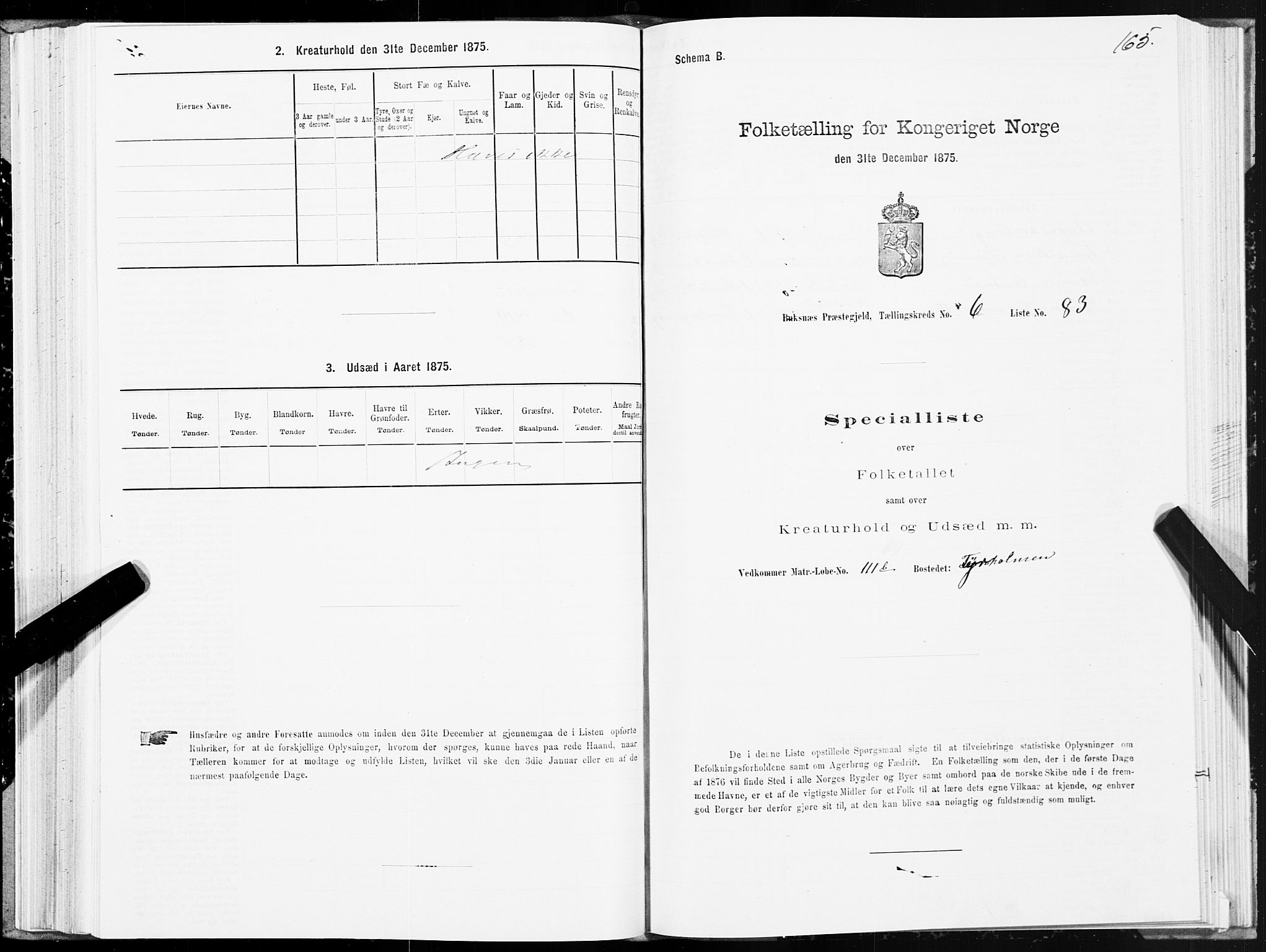 SAT, Folketelling 1875 for 1860P Buksnes prestegjeld, 1875, s. 3165