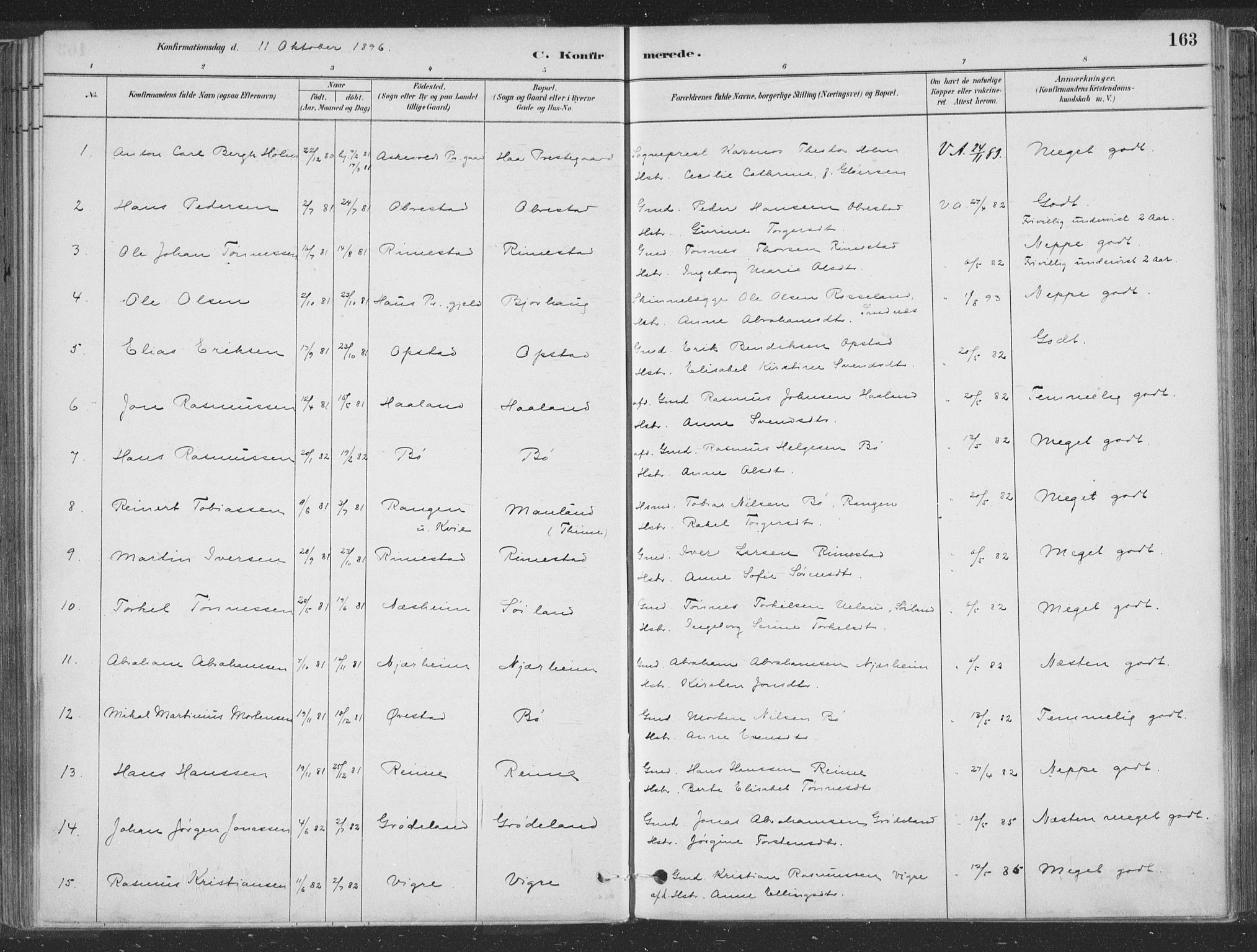 Hå sokneprestkontor, AV/SAST-A-101801/001/30BA/L0010: Ministerialbok nr. A 9, 1879-1896, s. 163