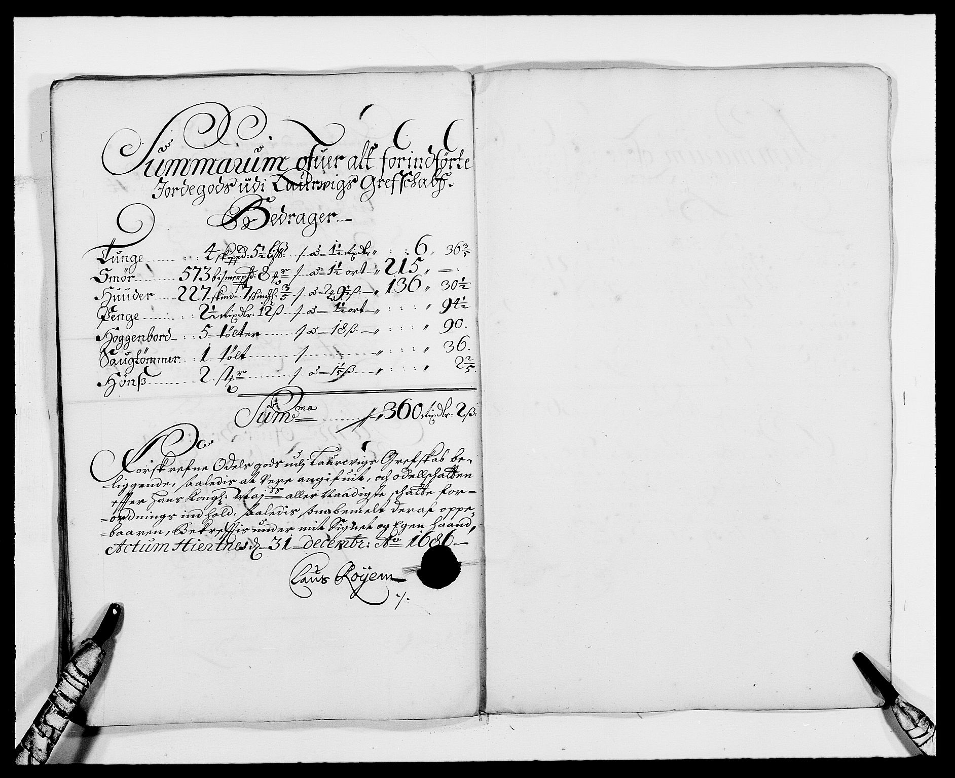 Rentekammeret inntil 1814, Reviderte regnskaper, Fogderegnskap, RA/EA-4092/R33/L1970: Fogderegnskap Larvik grevskap, 1675-1687, s. 207