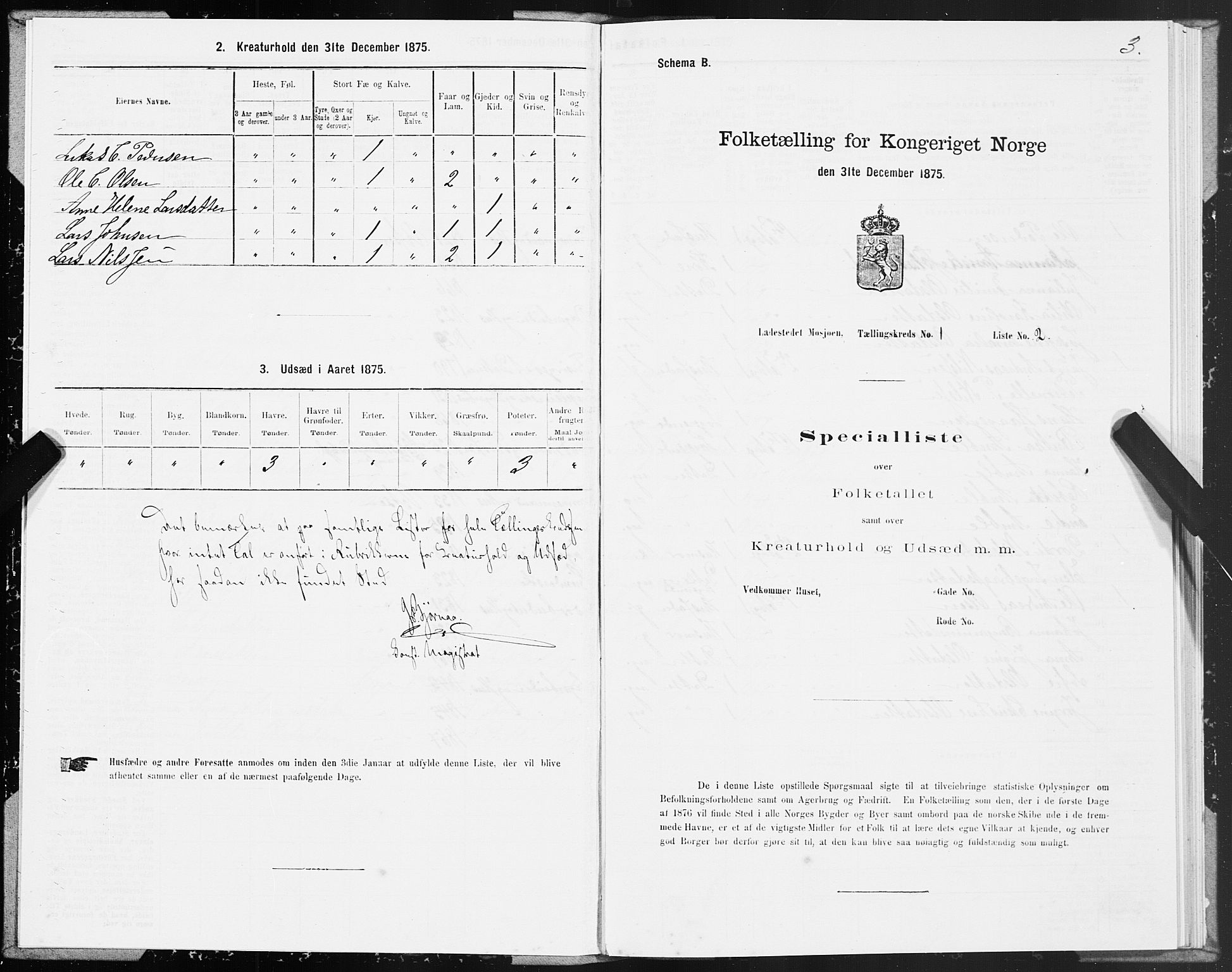 SAT, Folketelling 1875 for 1802B Vefsn prestegjeld, Mosjøen ladested, 1875, s. 3