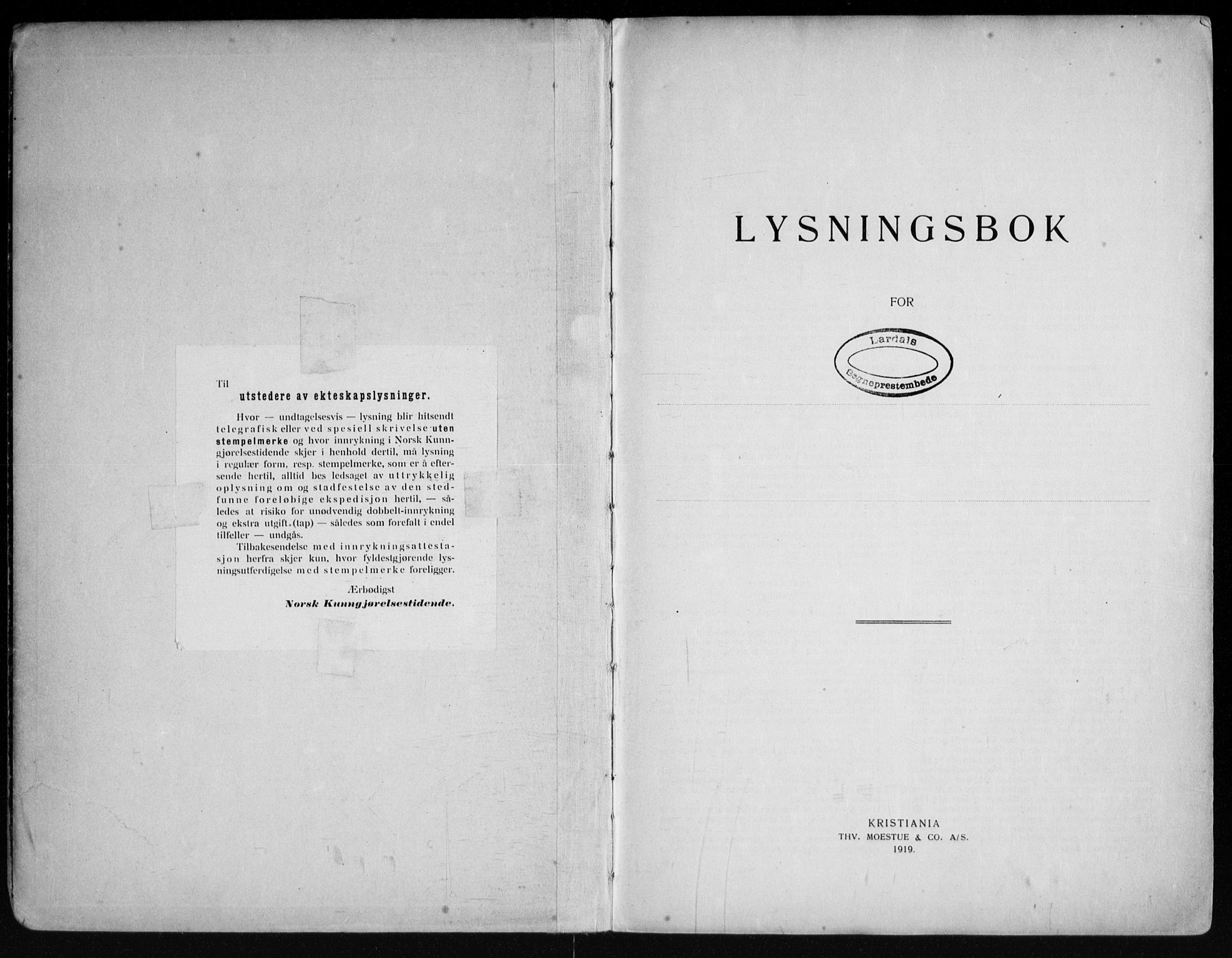 Lardal kirkebøker, AV/SAKO-A-350/H/Ha/L0001: Lysningsprotokoll nr. 1, 1919-1965