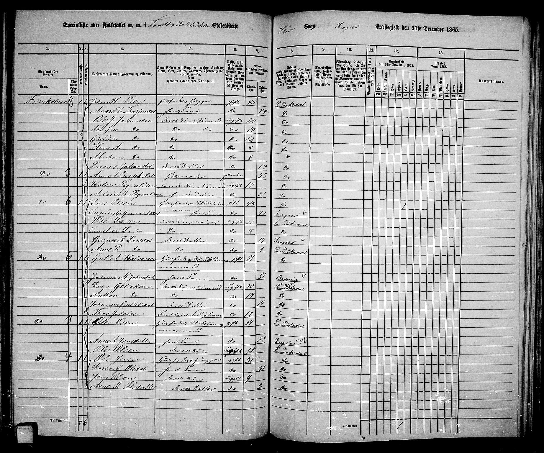 RA, Folketelling 1865 for 0816L Kragerø prestegjeld, Sannidal sokn og Skåtøy sokn, 1865, s. 137