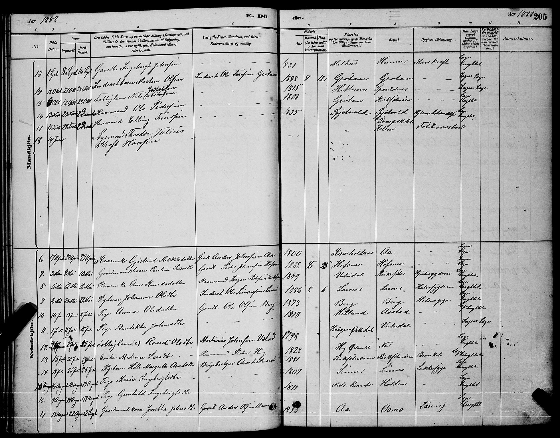 Ministerialprotokoller, klokkerbøker og fødselsregistre - Sør-Trøndelag, AV/SAT-A-1456/630/L0504: Klokkerbok nr. 630C02, 1879-1898, s. 205