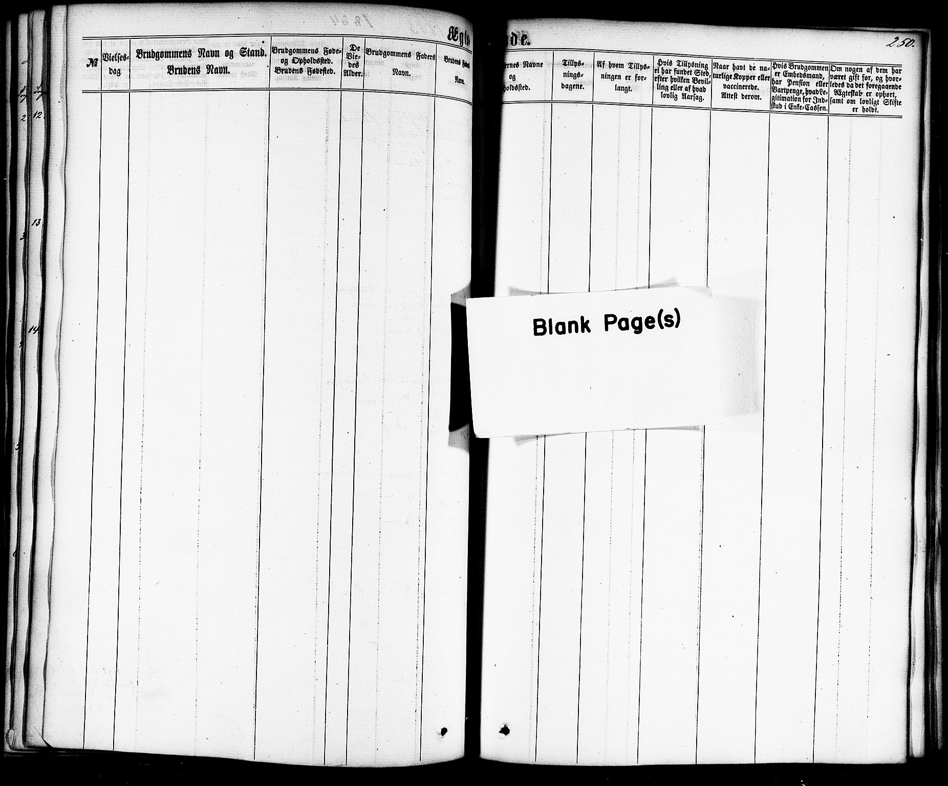 Ministerialprotokoller, klokkerbøker og fødselsregistre - Nordland, AV/SAT-A-1459/865/L0923: Ministerialbok nr. 865A01, 1864-1884, s. 250