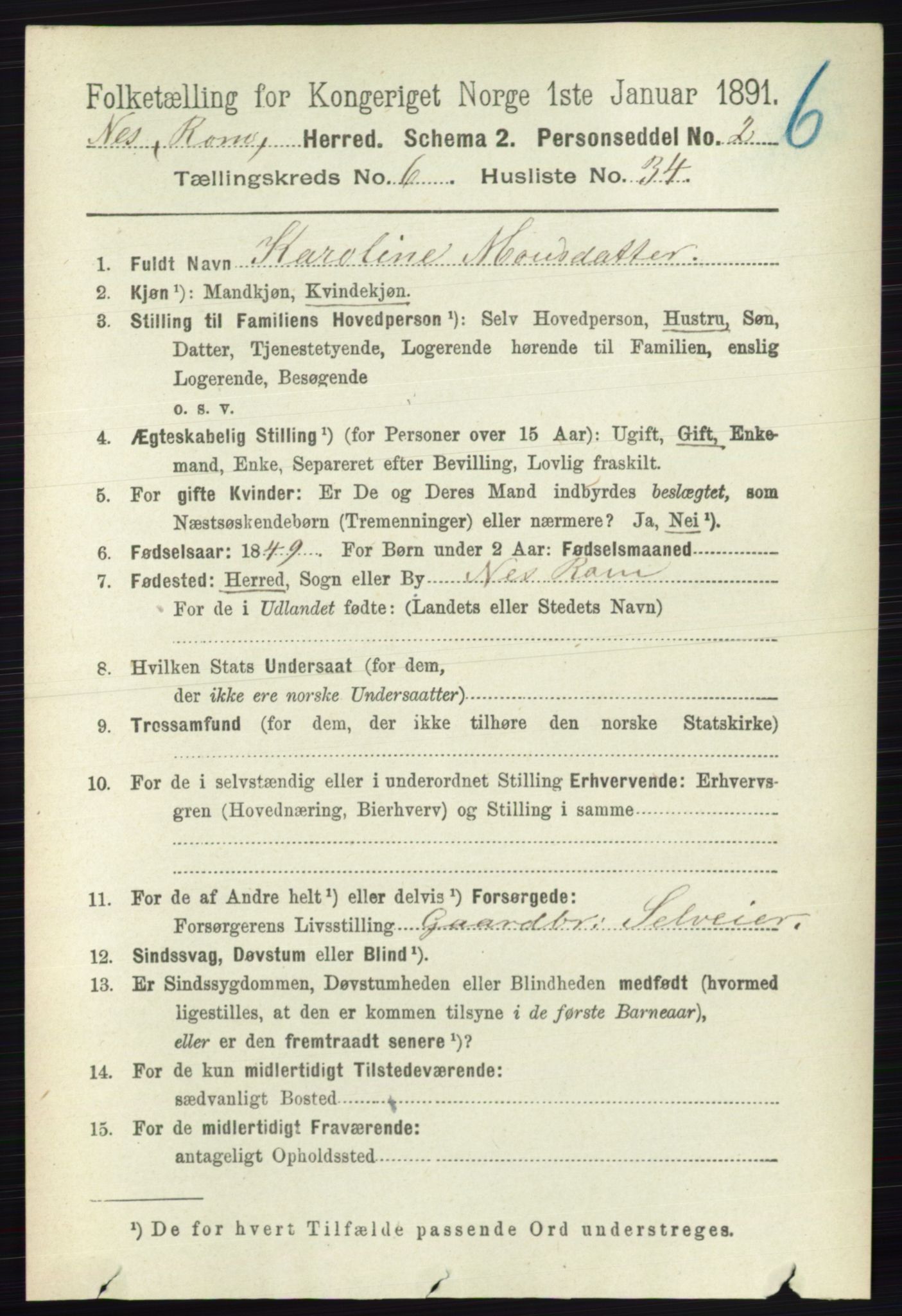 RA, Folketelling 1891 for 0236 Nes herred, 1891, s. 3595