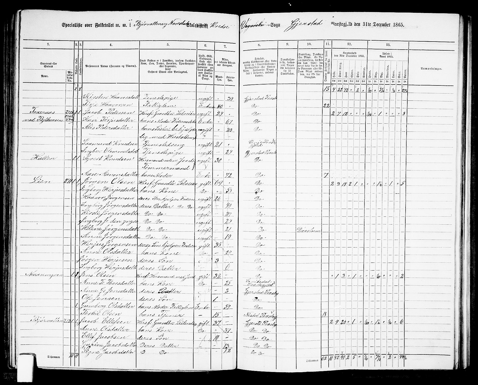 RA, Folketelling 1865 for 0911P Gjerstad prestegjeld, 1865, s. 162