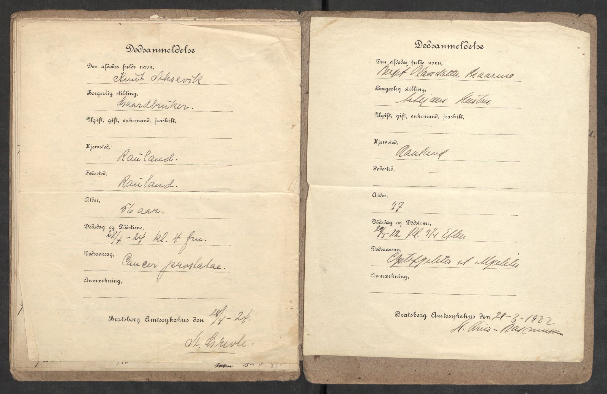 Rauland lensmannskontor, SAKO/A-568/H/Ha/L0001/0002: Dødsfallsprotokoll / Dødsfallsprotokoll, 1918-1925