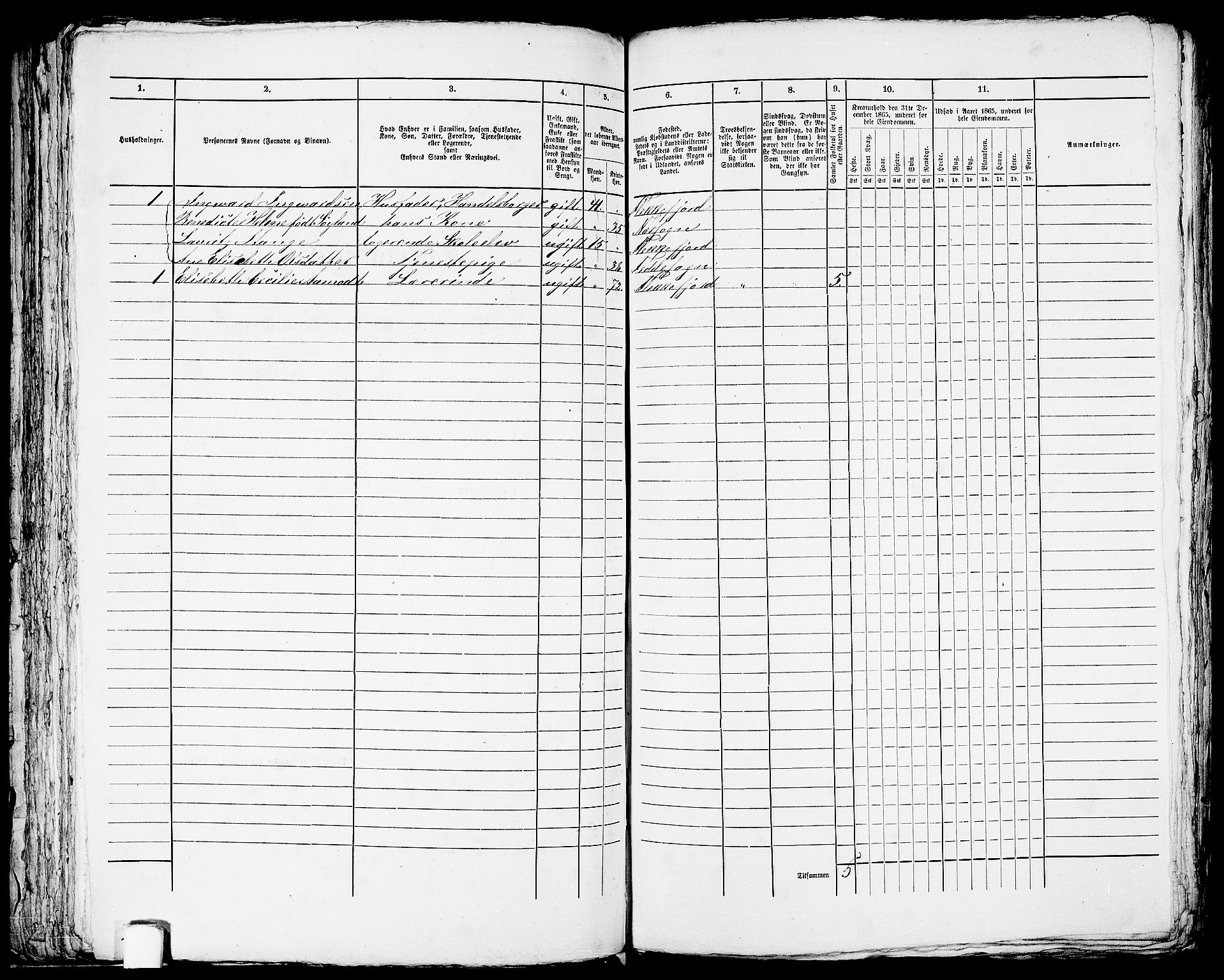 RA, Folketelling 1865 for 1004B Flekkefjord prestegjeld, Flekkefjord kjøpstad, 1865, s. 161