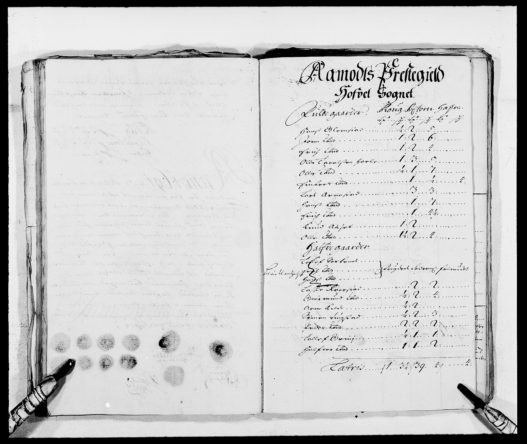 Rentekammeret inntil 1814, Reviderte regnskaper, Fogderegnskap, AV/RA-EA-4092/R13/L0829: Fogderegnskap Solør, Odal og Østerdal, 1691, s. 310