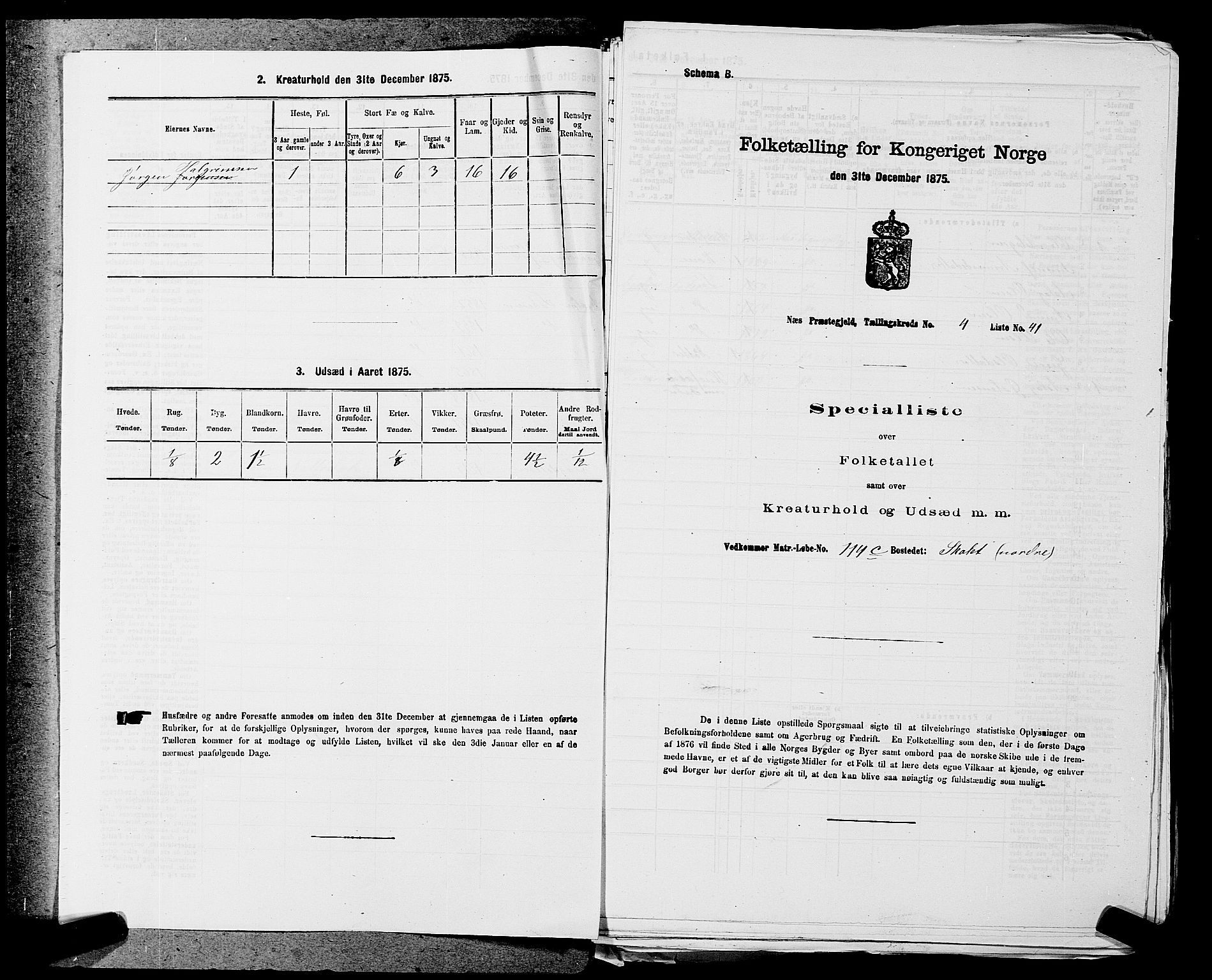 SAKO, Folketelling 1875 for 0616P Nes prestegjeld, 1875, s. 651