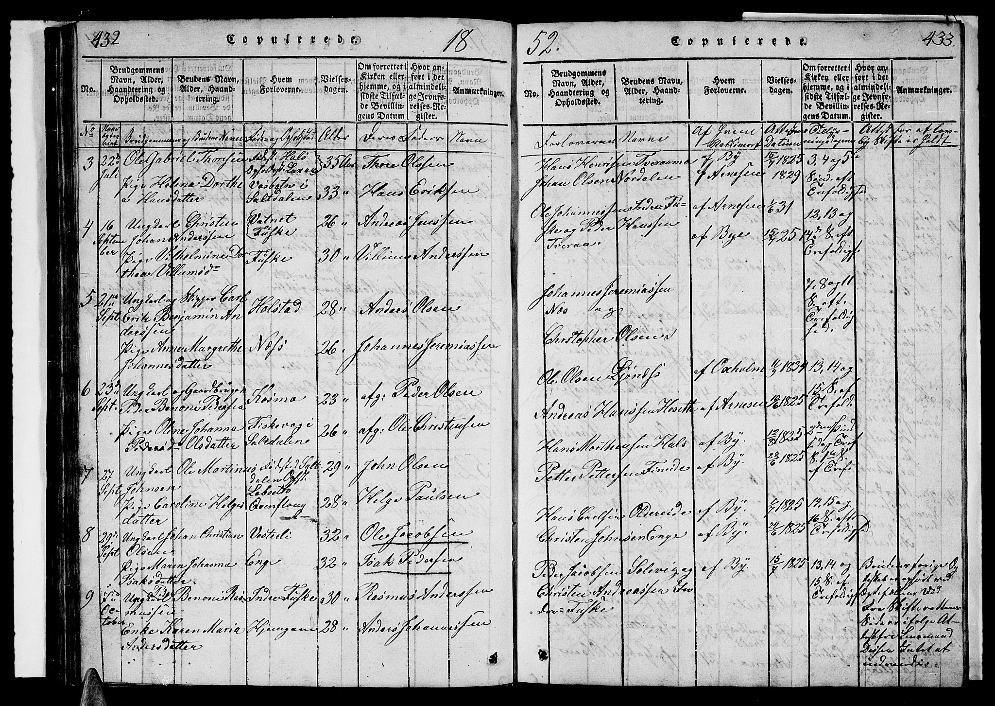 Ministerialprotokoller, klokkerbøker og fødselsregistre - Nordland, AV/SAT-A-1459/852/L0752: Klokkerbok nr. 852C03, 1840-1855, s. 432-433