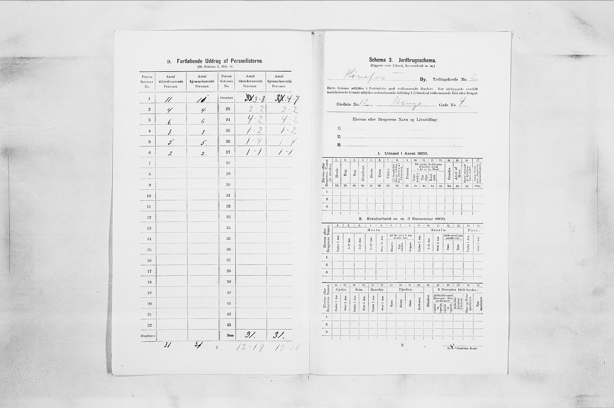 RA, Folketelling 1900 for 0601 Hønefoss kjøpstad, 1900, s. 252