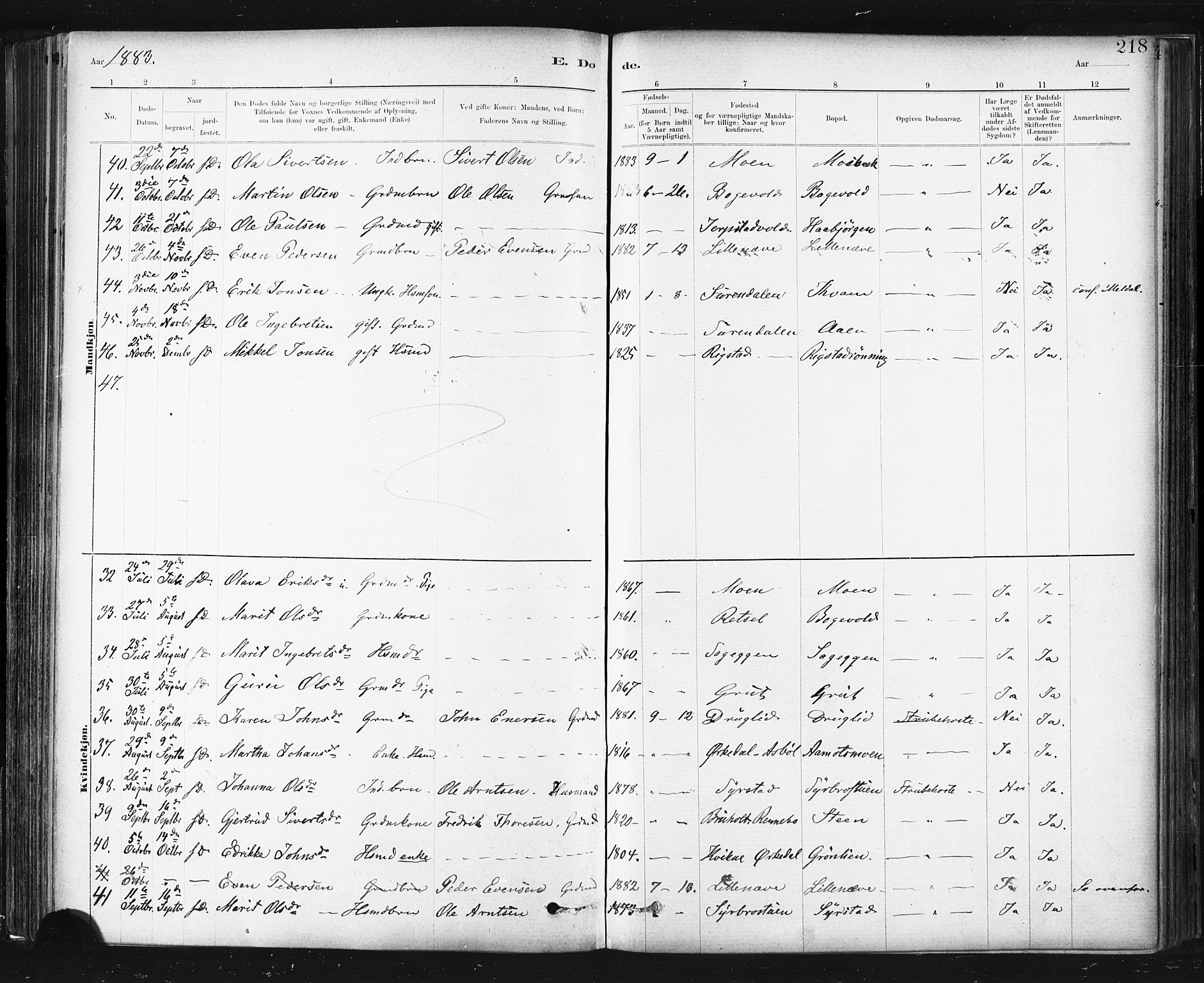 Ministerialprotokoller, klokkerbøker og fødselsregistre - Sør-Trøndelag, AV/SAT-A-1456/672/L0857: Ministerialbok nr. 672A09, 1882-1893, s. 218