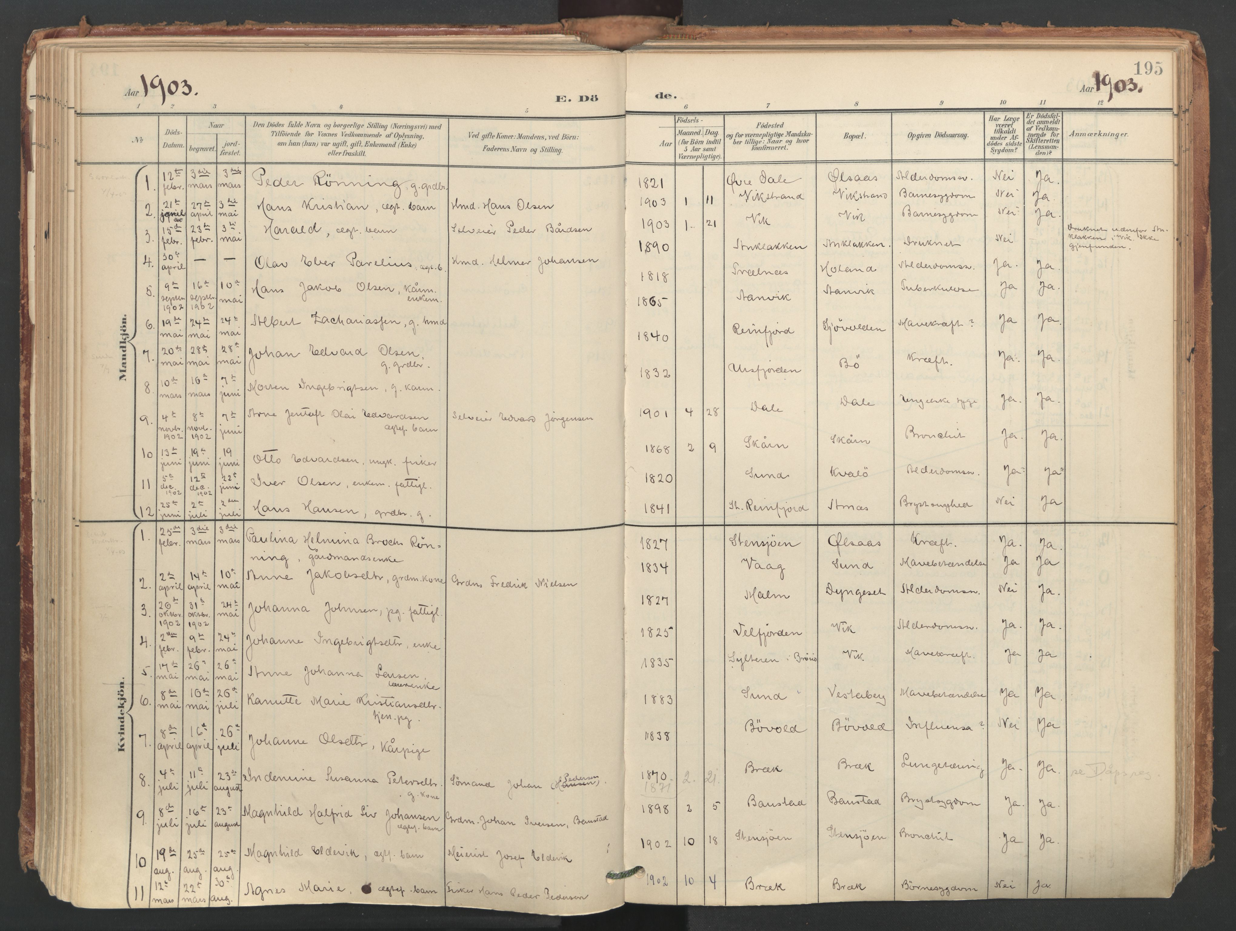 Ministerialprotokoller, klokkerbøker og fødselsregistre - Nordland, AV/SAT-A-1459/812/L0180: Ministerialbok nr. 812A09, 1901-1915, s. 195