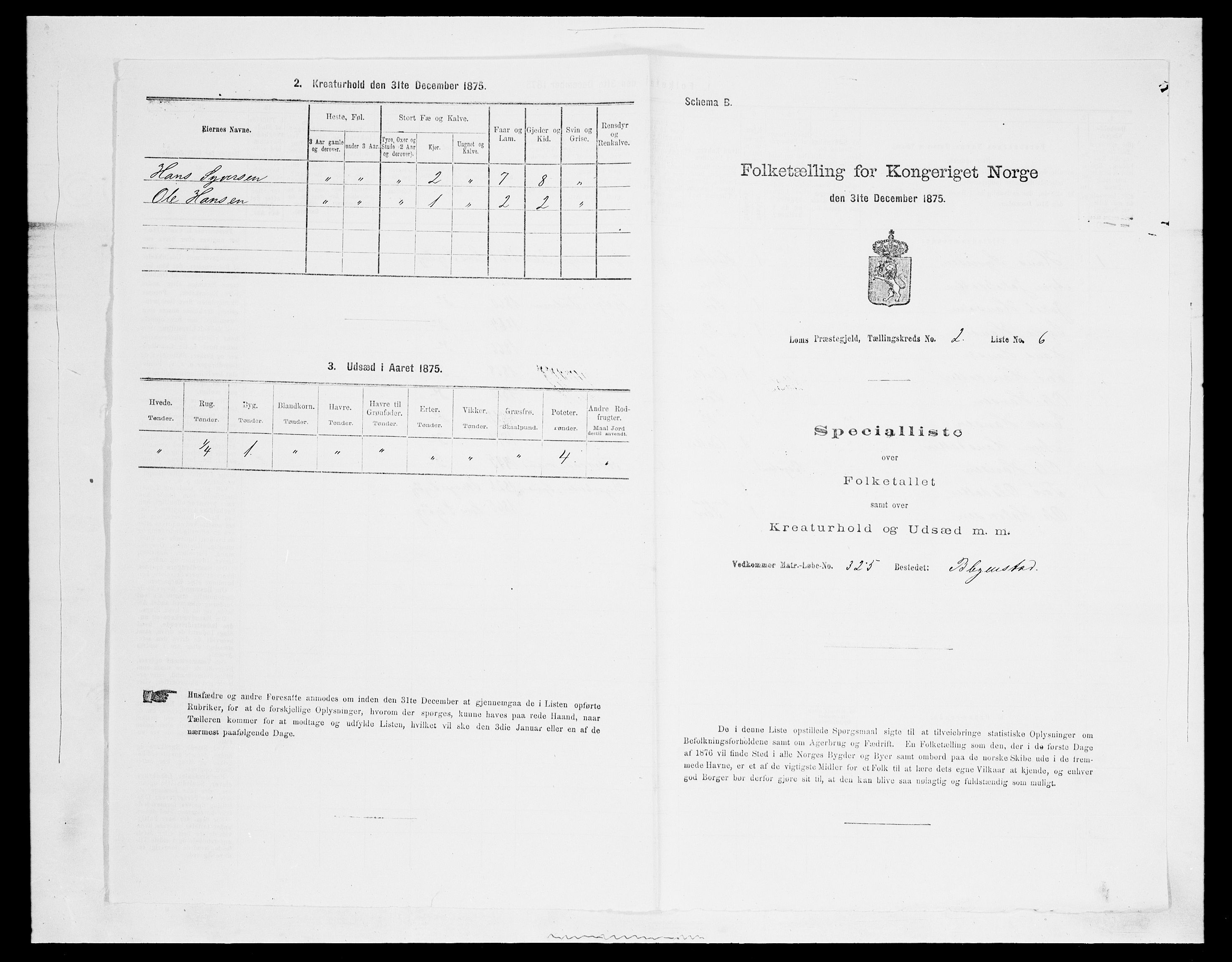 SAH, Folketelling 1875 for 0514P Lom prestegjeld, 1875, s. 268