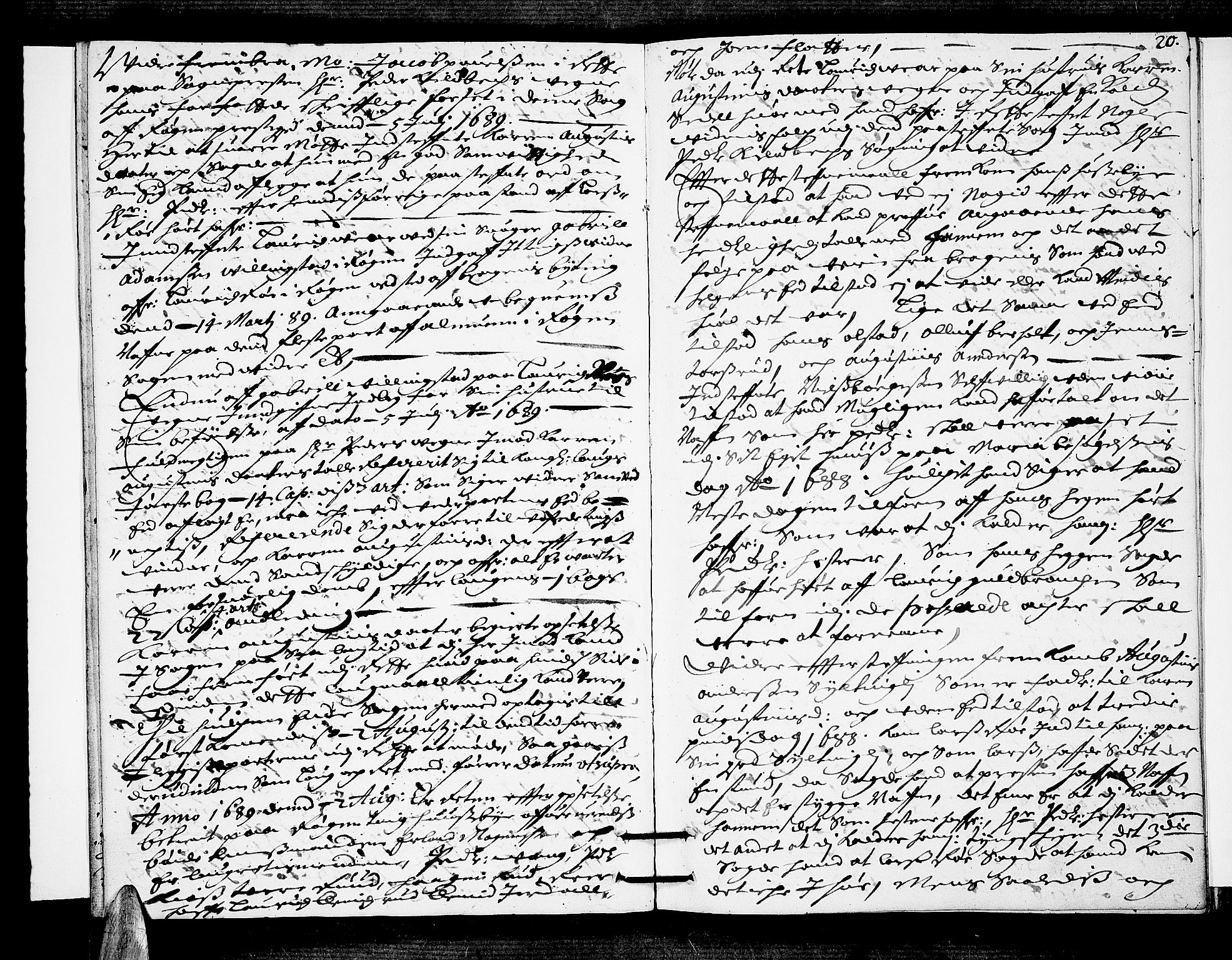 Lier, Røyken og Hurum sorenskriveri, AV/SAKO-A-89/F/Fa/L0030: Tingbok, 1689, s. 20