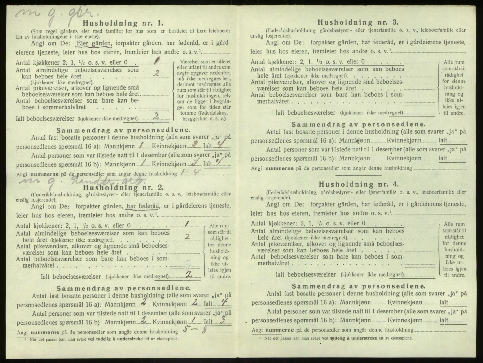 SAB, Folketelling 1920 for 1426 Luster herred, 1920, s. 236