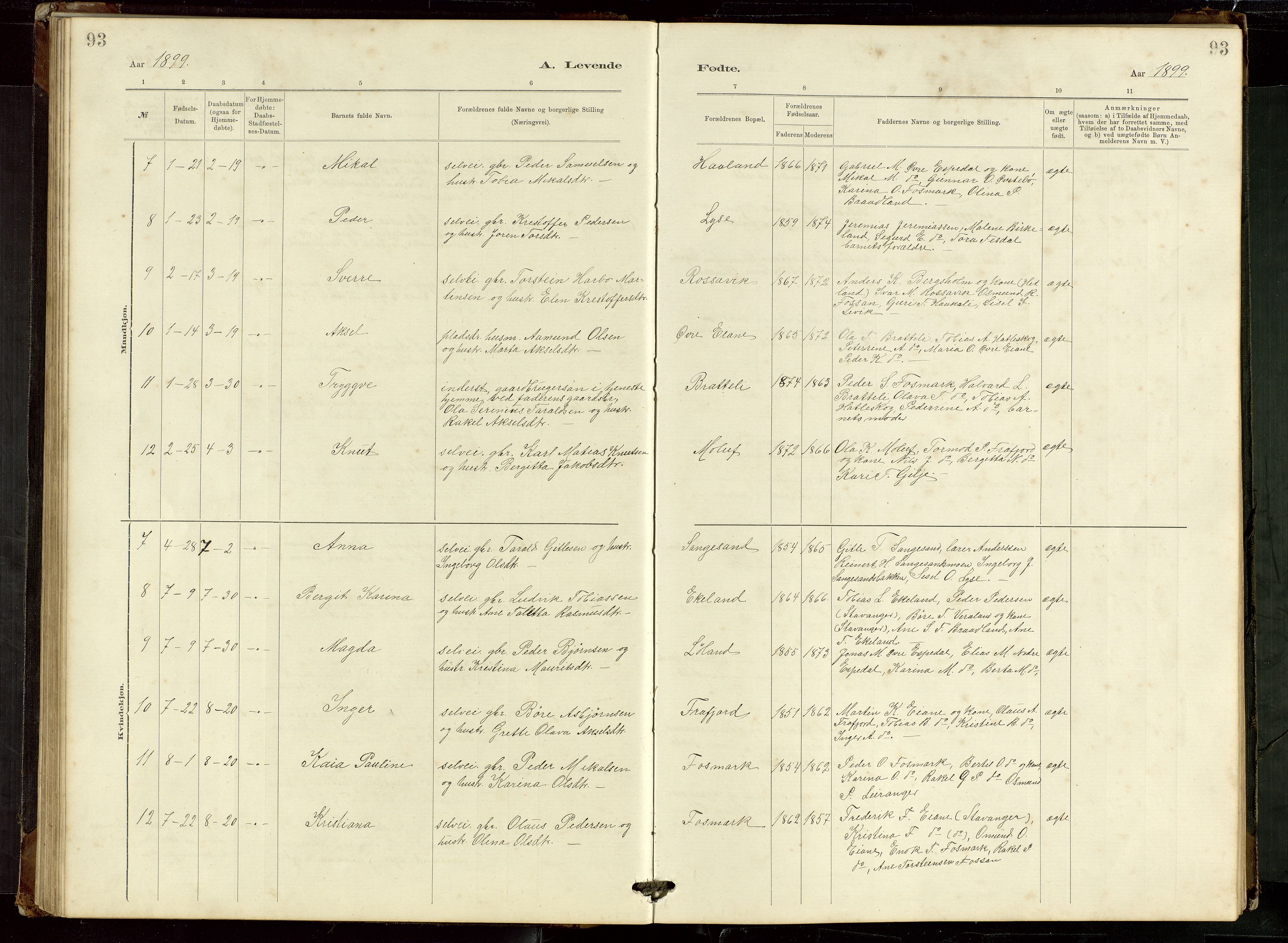 Høgsfjord sokneprestkontor, AV/SAST-A-101624/H/Ha/Hab/L0009: Klokkerbok nr. B 9, 1883-1920, s. 93