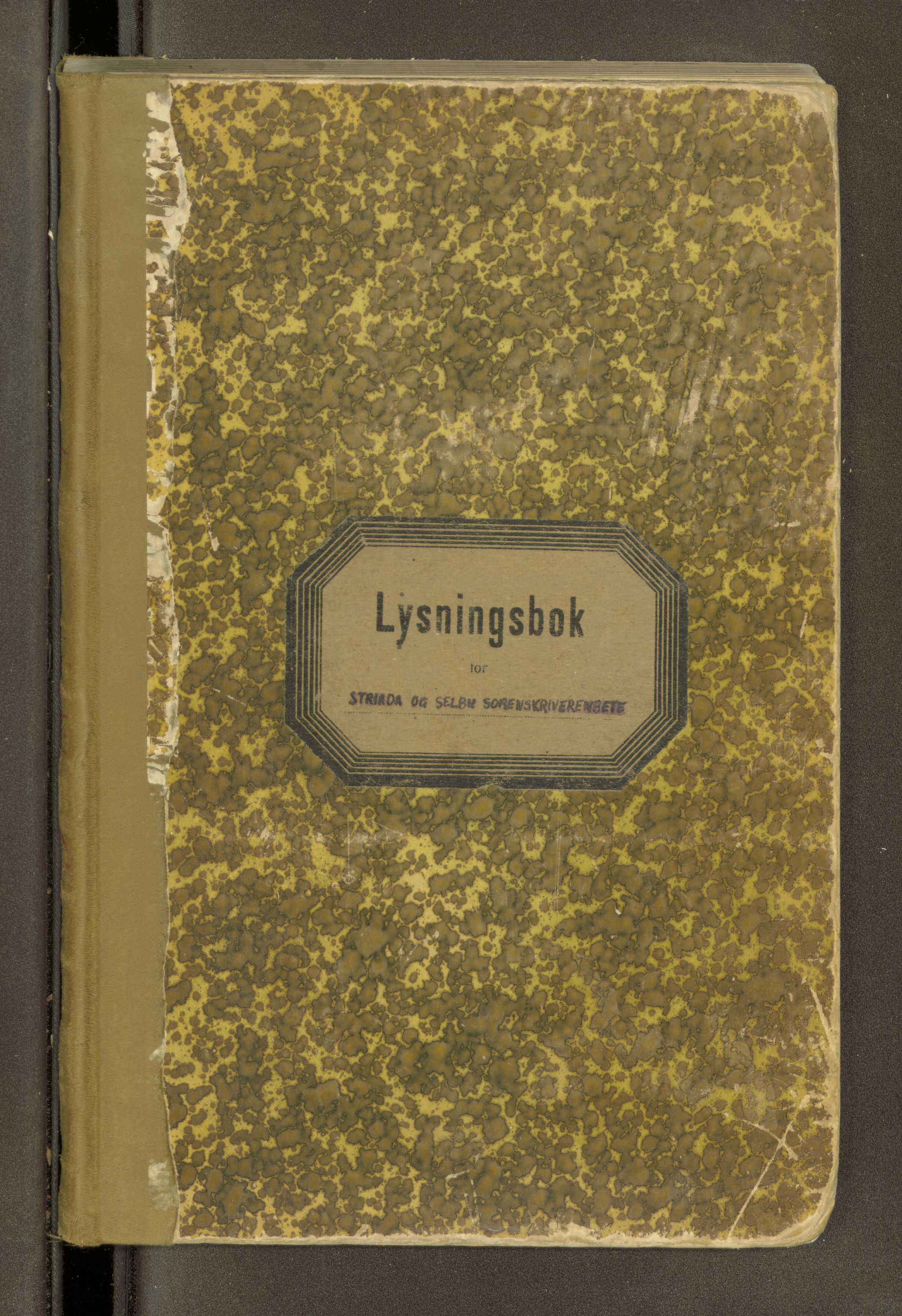 Strinda og Selbu sorenskriveri, AV/SAT-A-0015/6/6D/L0001: Lysingsbok, 1919-1945