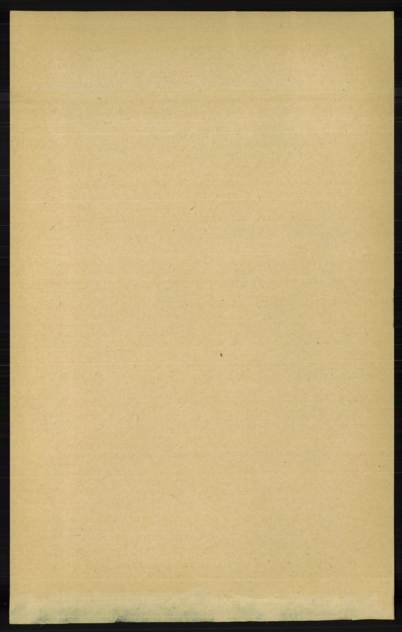 RA, Folketelling 1891 for 1029 Sør-Audnedal herred, 1891, s. 2620