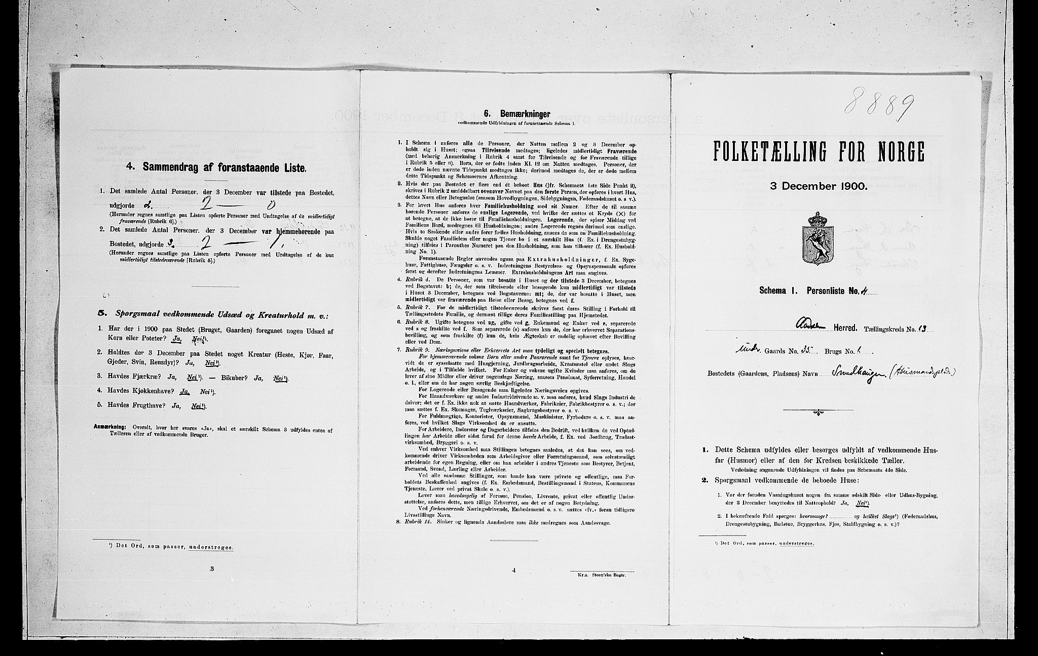 RA, Folketelling 1900 for 0614 Ådal herred, 1900, s. 894