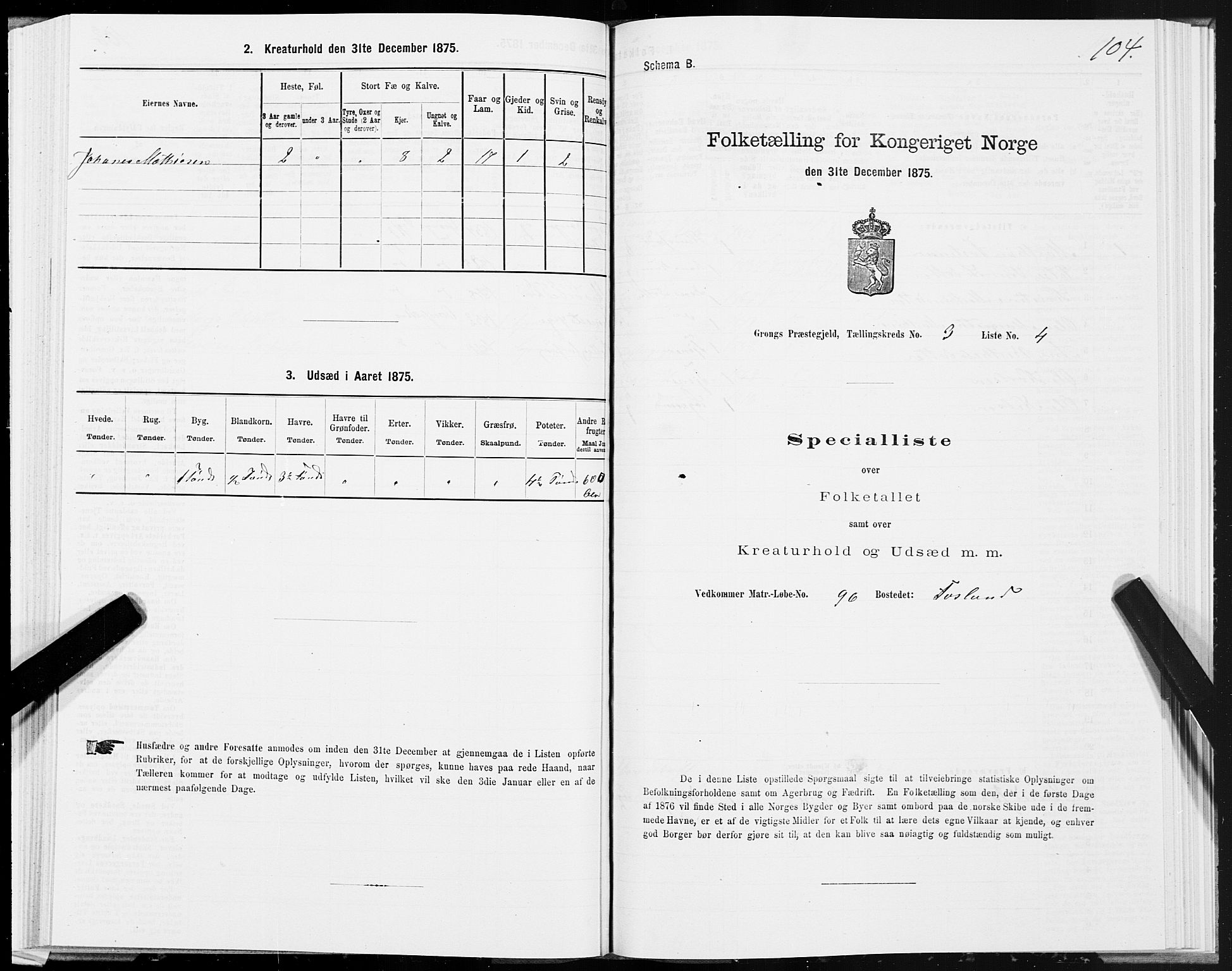 SAT, Folketelling 1875 for 1742P Grong prestegjeld, 1875, s. 2104