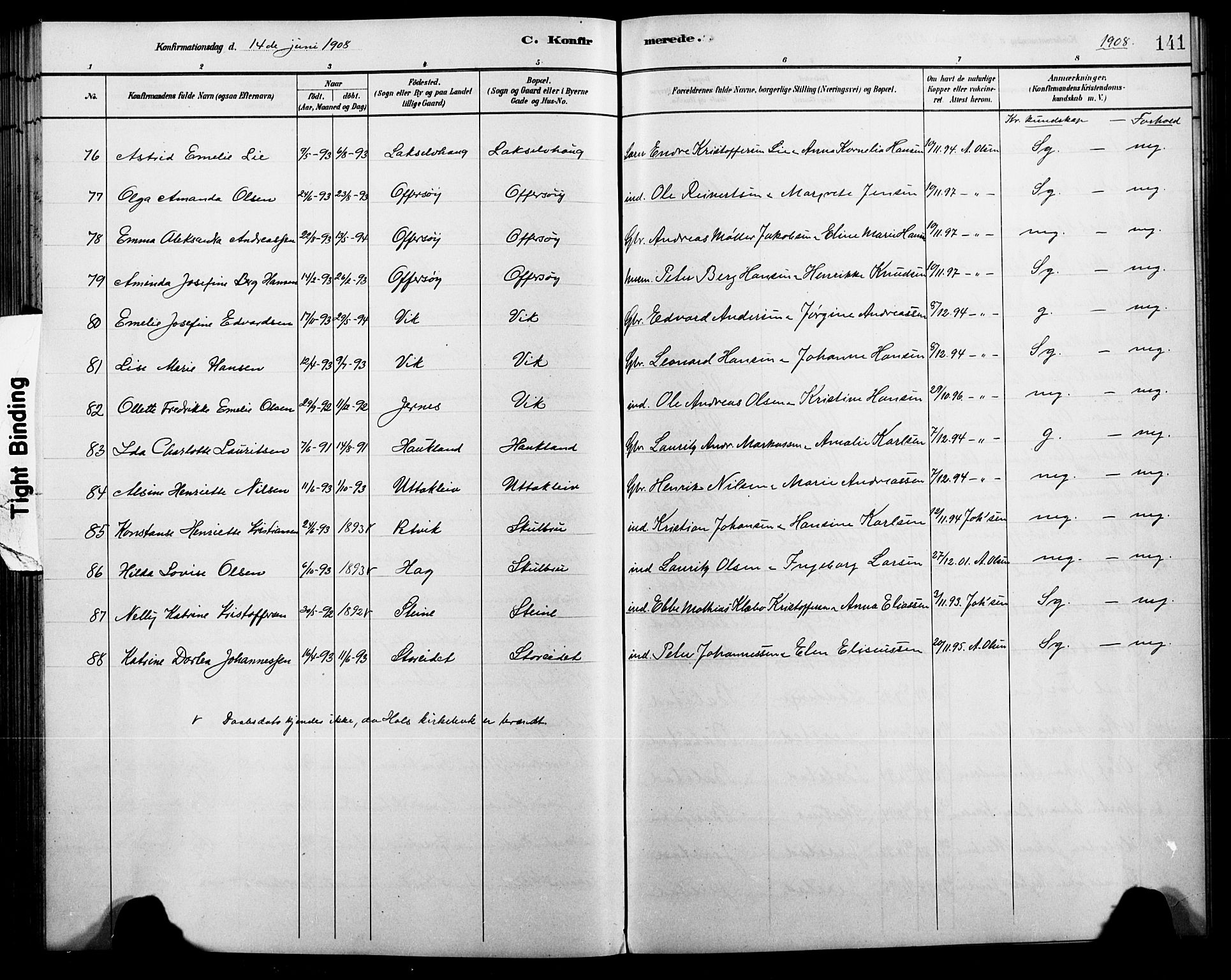 Ministerialprotokoller, klokkerbøker og fødselsregistre - Nordland, AV/SAT-A-1459/881/L1168: Klokkerbok nr. 881C05, 1900-1911, s. 141