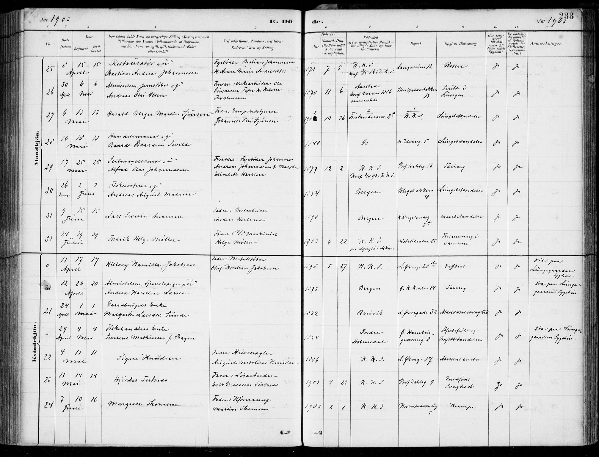 Korskirken sokneprestembete, AV/SAB-A-76101/H/Hab: Klokkerbok nr. E 4, 1884-1910, s. 233