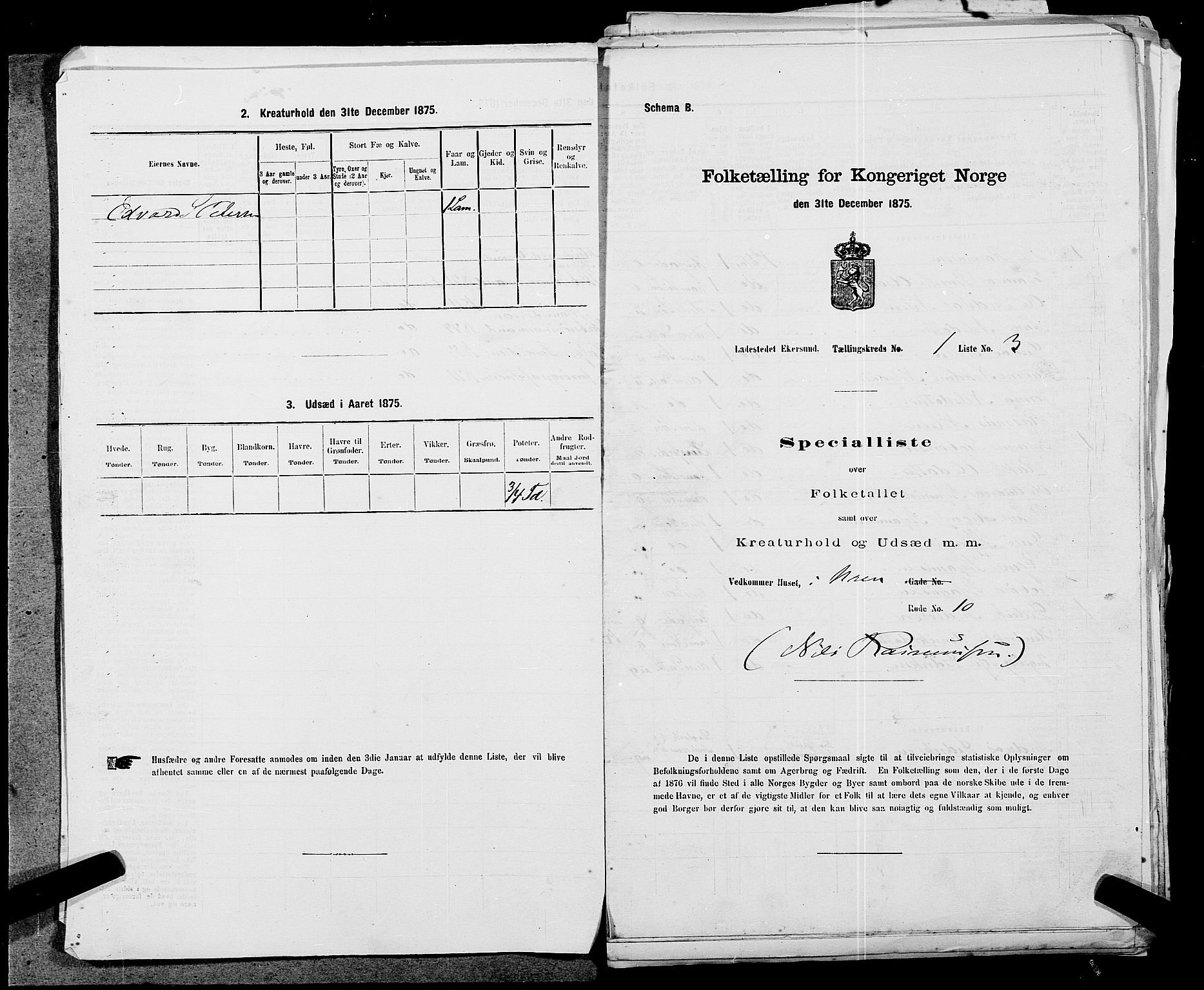 SAST, Folketelling 1875 for 1101B Eigersund prestegjeld, Egersund ladested, 1875, s. 5