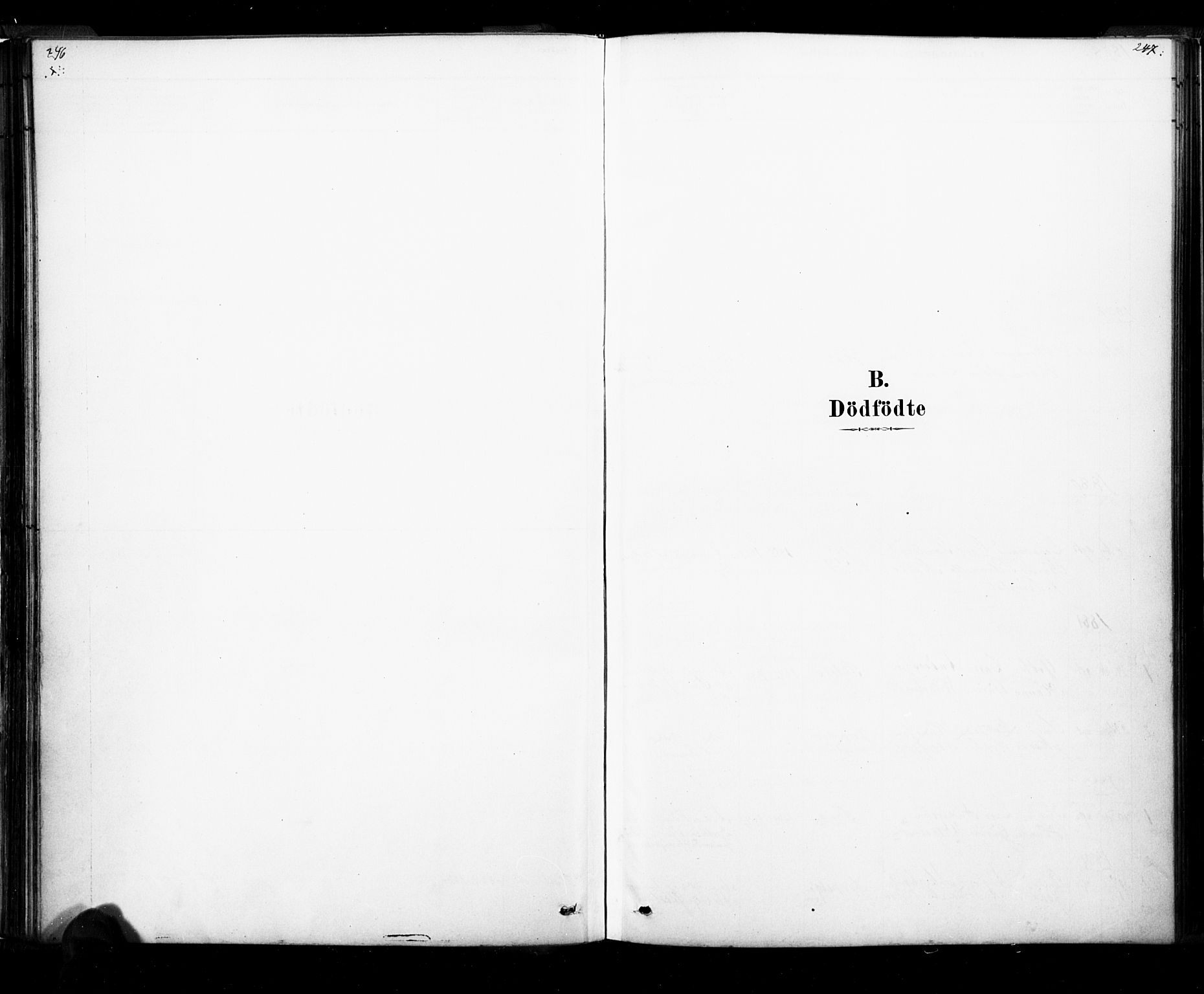 Ramnes kirkebøker, SAKO/A-314/F/Fa/L0007: Ministerialbok nr. I 7, 1878-1895, s. 246-247