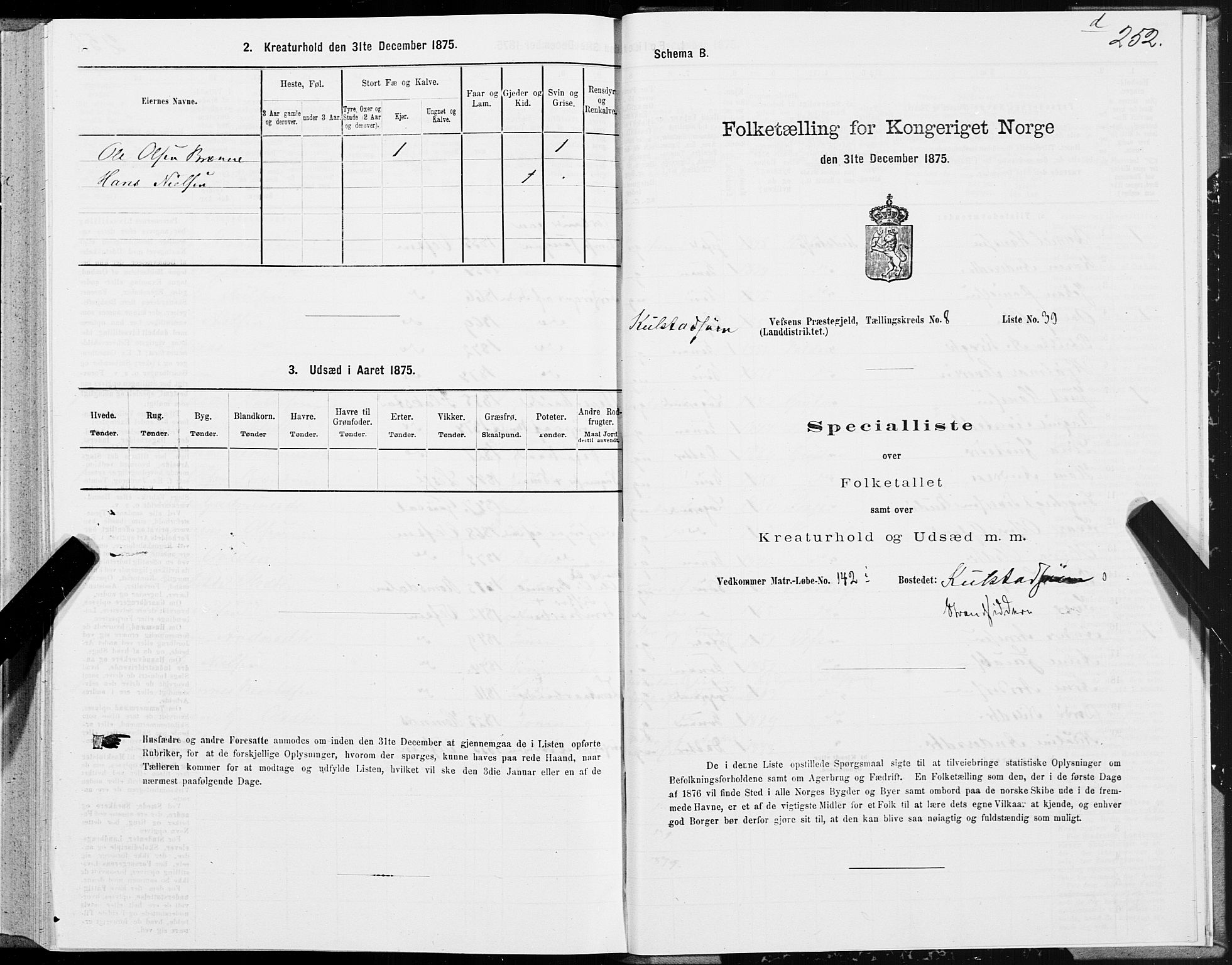 SAT, Folketelling 1875 for 1824L Vefsn prestegjeld, Vefsn sokn, 1875, s. 2252