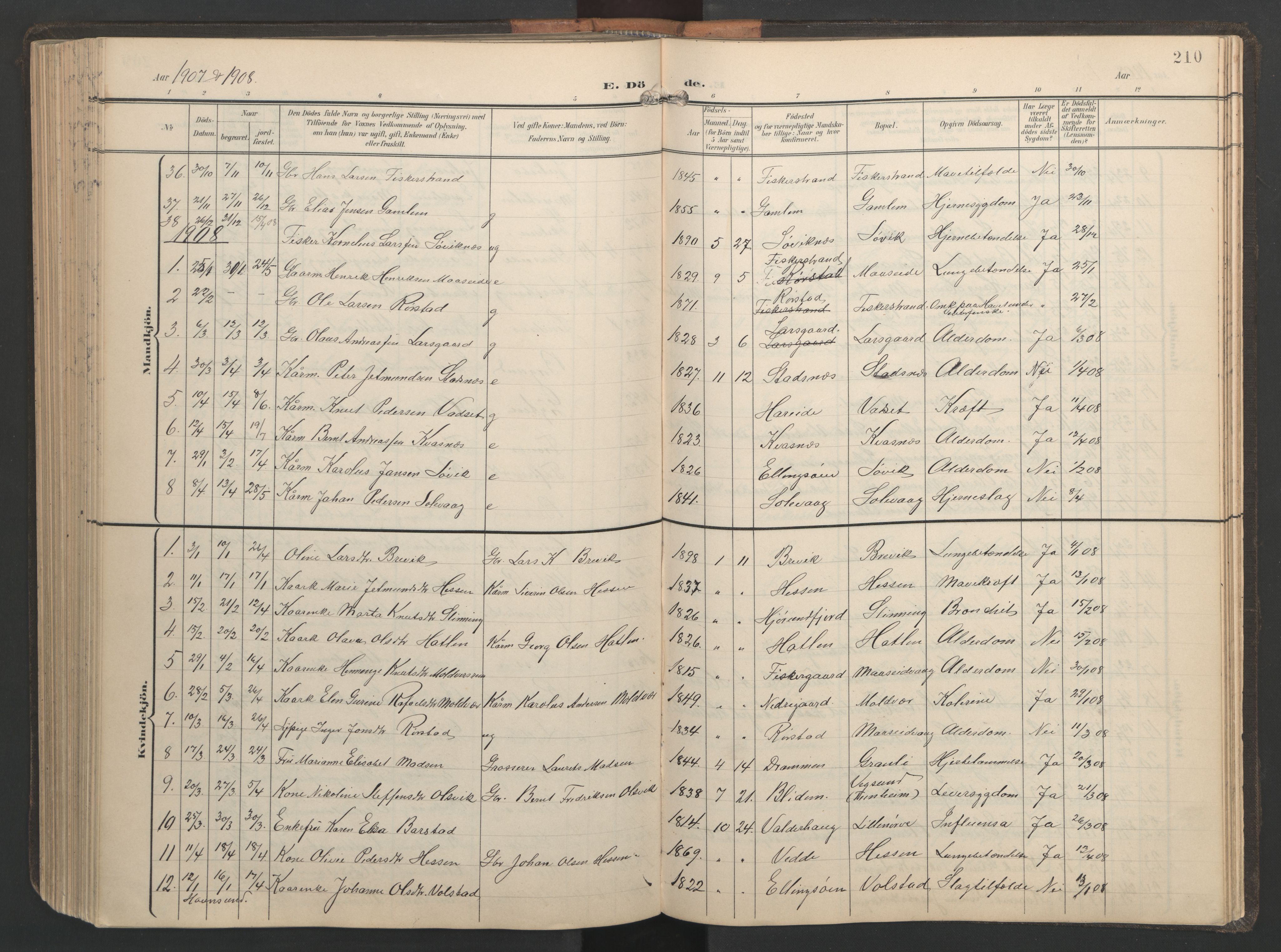 Ministerialprotokoller, klokkerbøker og fødselsregistre - Møre og Romsdal, SAT/A-1454/528/L0433: Klokkerbok nr. 528C14, 1899-1922, s. 210