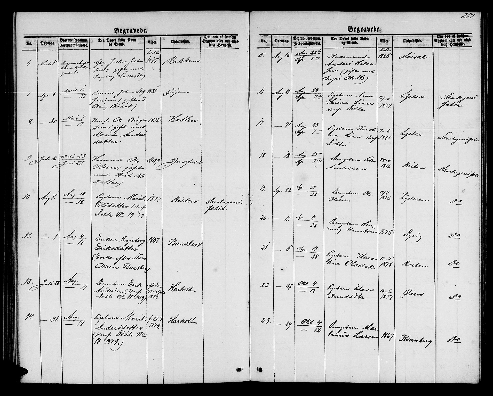 Ministerialprotokoller, klokkerbøker og fødselsregistre - Møre og Romsdal, AV/SAT-A-1454/551/L0630: Klokkerbok nr. 551C02, 1867-1885, s. 251