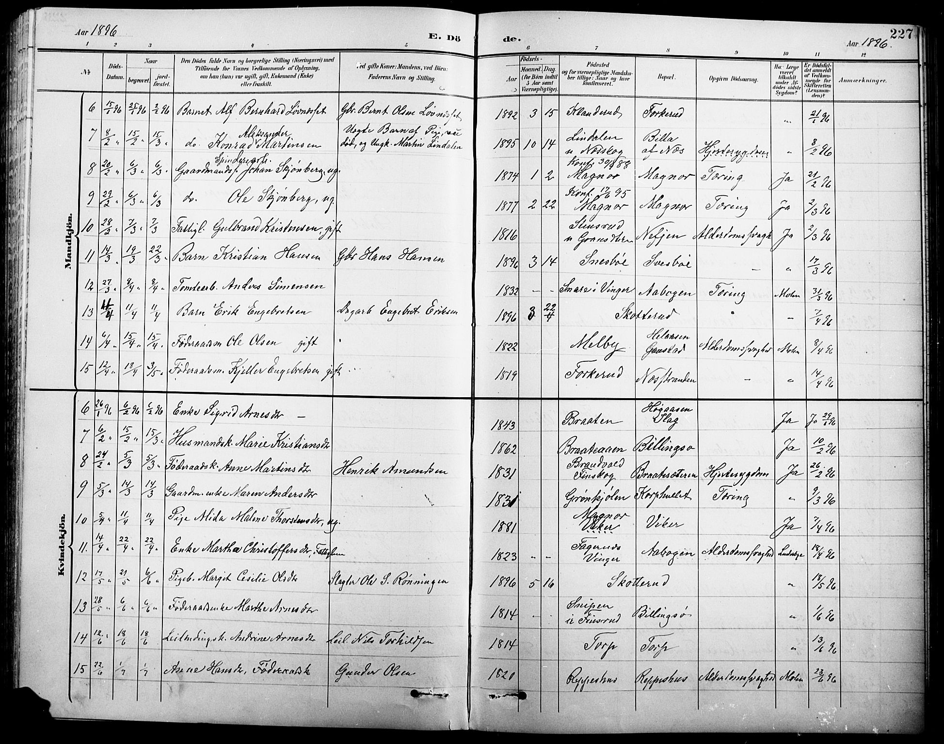 Eidskog prestekontor, AV/SAH-PREST-026/H/Ha/Hab/L0001: Klokkerbok nr. 1, 1895-1917, s. 227