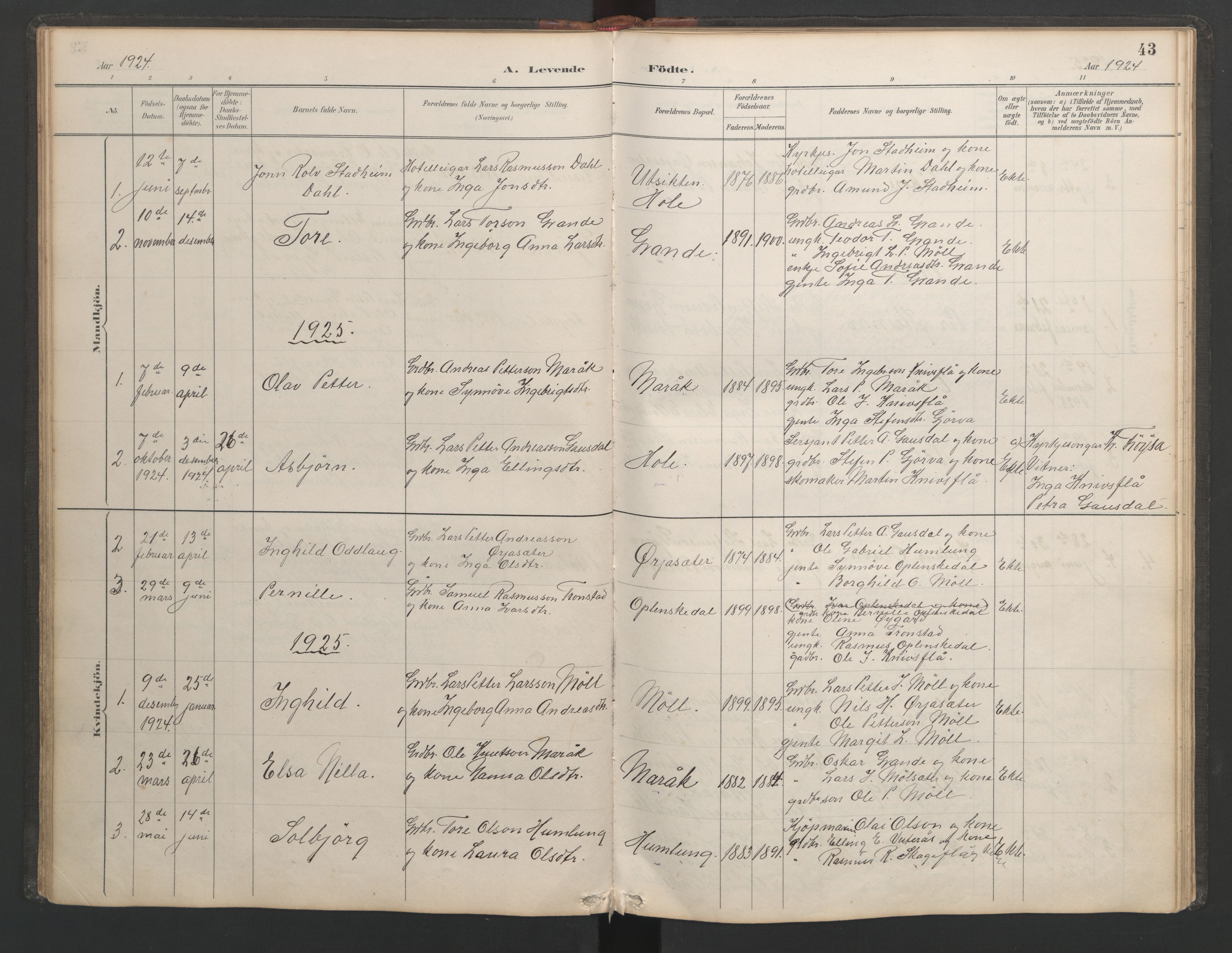 Ministerialprotokoller, klokkerbøker og fødselsregistre - Møre og Romsdal, AV/SAT-A-1454/518/L0236: Klokkerbok nr. 518C03, 1889-1960, s. 43