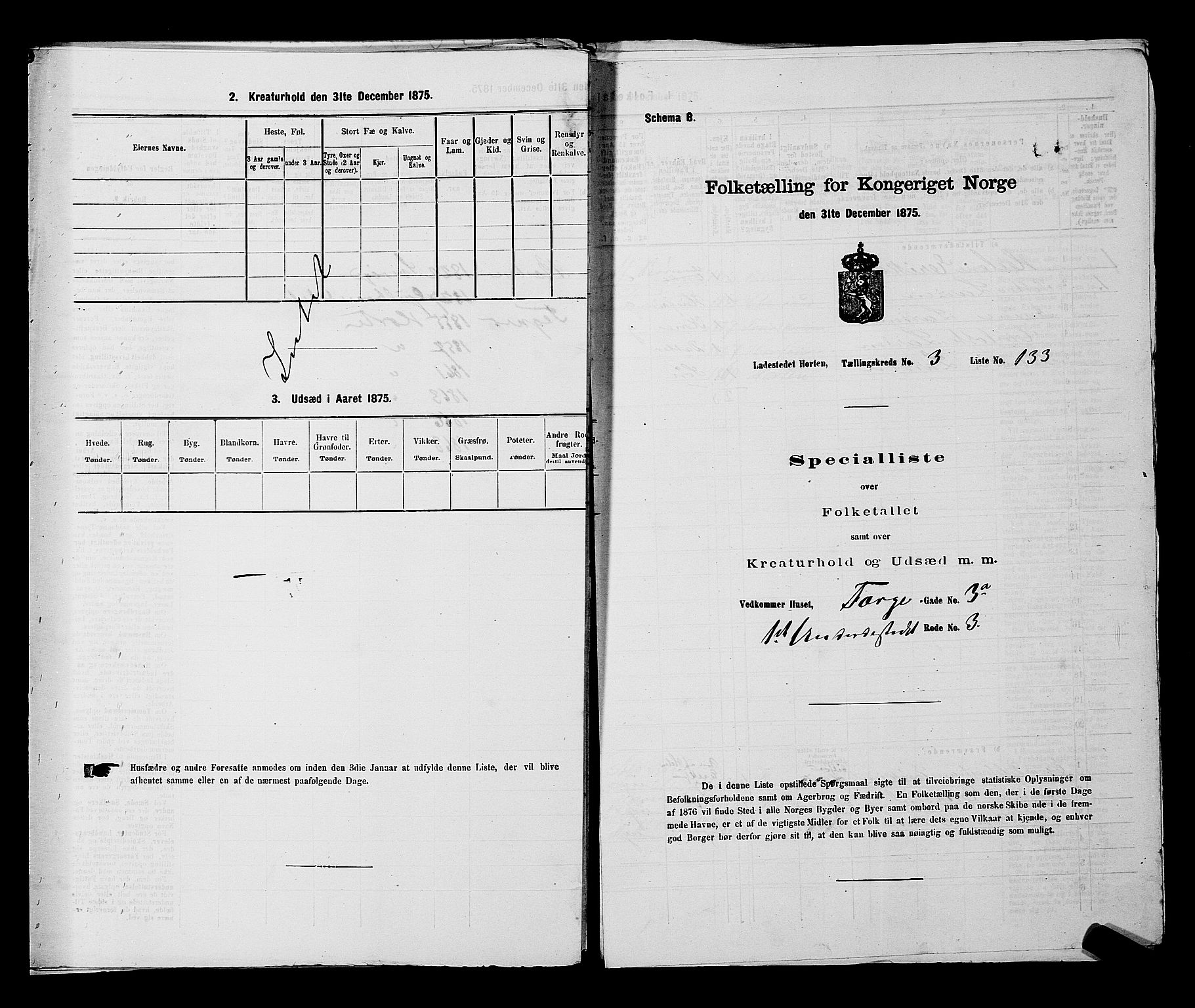 SAKO, Folketelling 1875 for 0703P Horten prestegjeld, 1875, s. 316