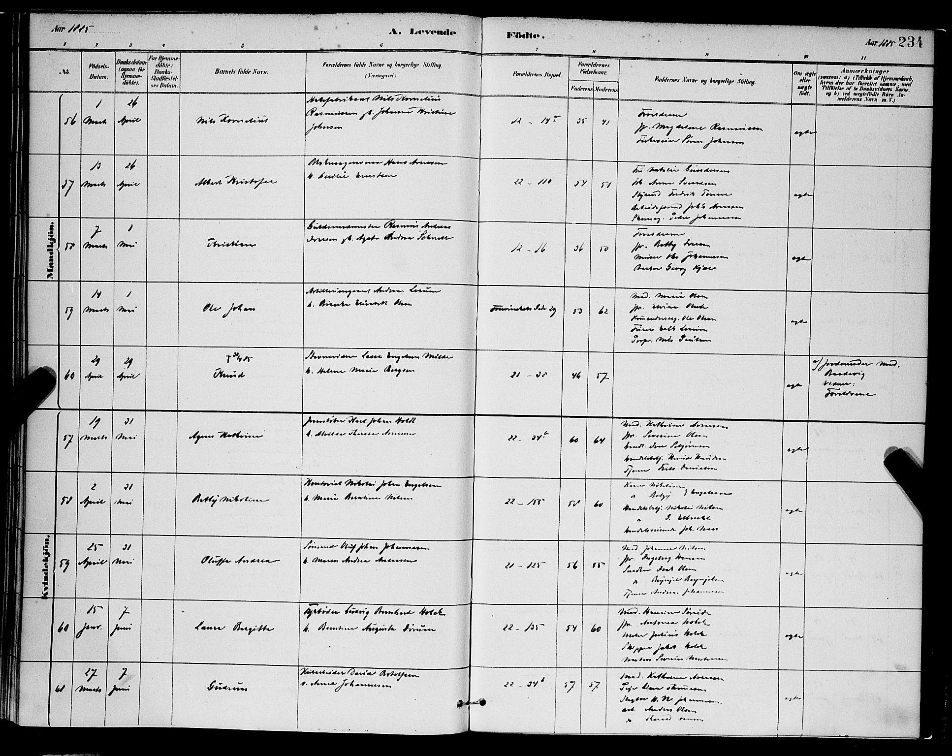 Korskirken sokneprestembete, AV/SAB-A-76101/H/Hab: Klokkerbok nr. B 8, 1878-1887, s. 234