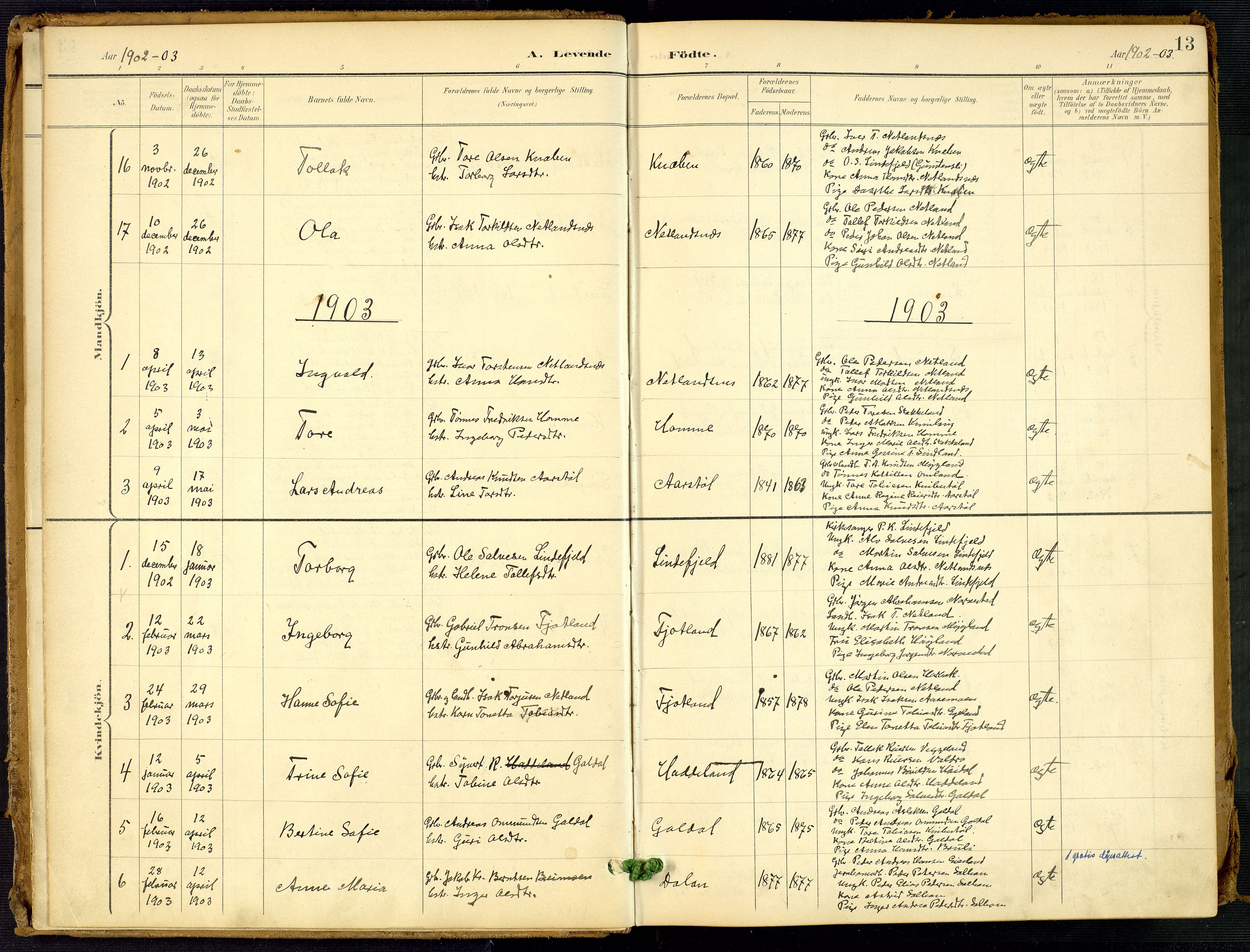 Fjotland sokneprestkontor, SAK/1111-0010/F/Fa/L0003: Ministerialbok nr. A 3, 1899-1917, s. 13