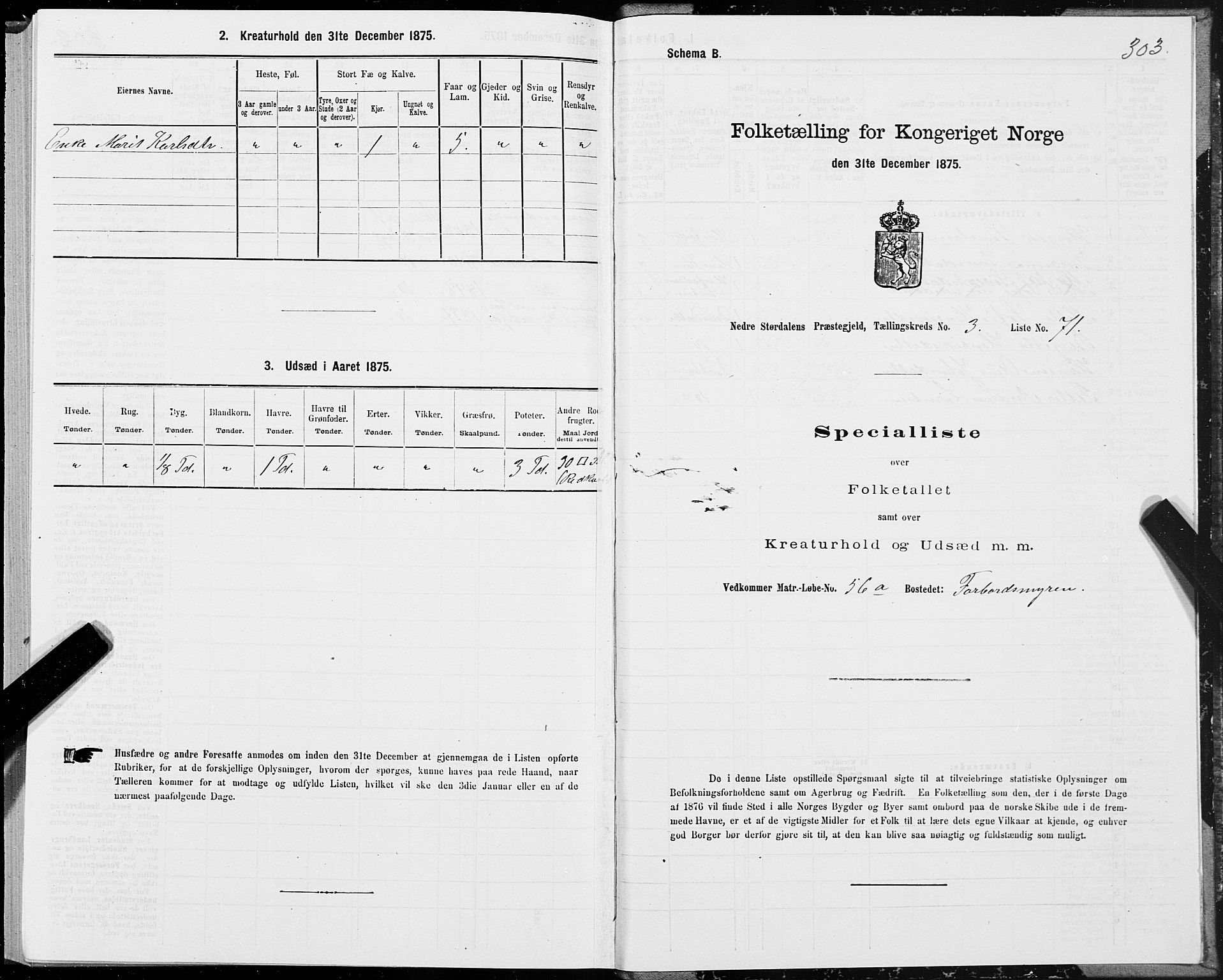 SAT, Folketelling 1875 for 1714P Nedre Stjørdal prestegjeld, 1875, s. 1303