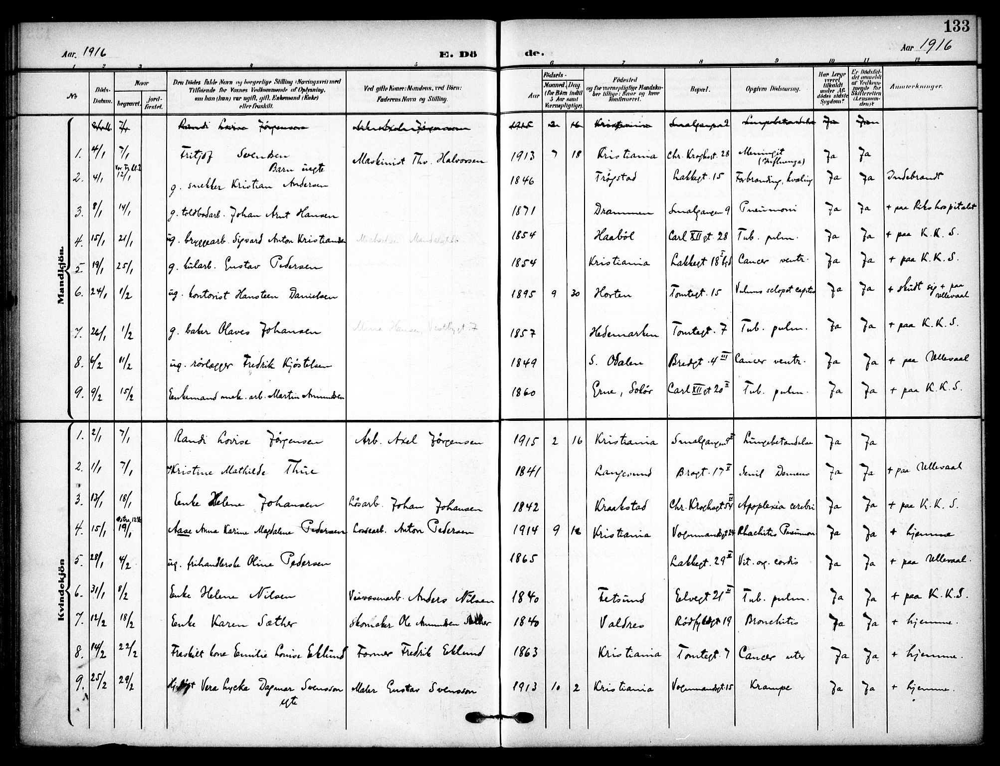 Vaterland prestekontor Kirkebøker, AV/SAO-A-10880/F/Fa/L0002: Ministerialbok nr. 2, 1907-1921, s. 133