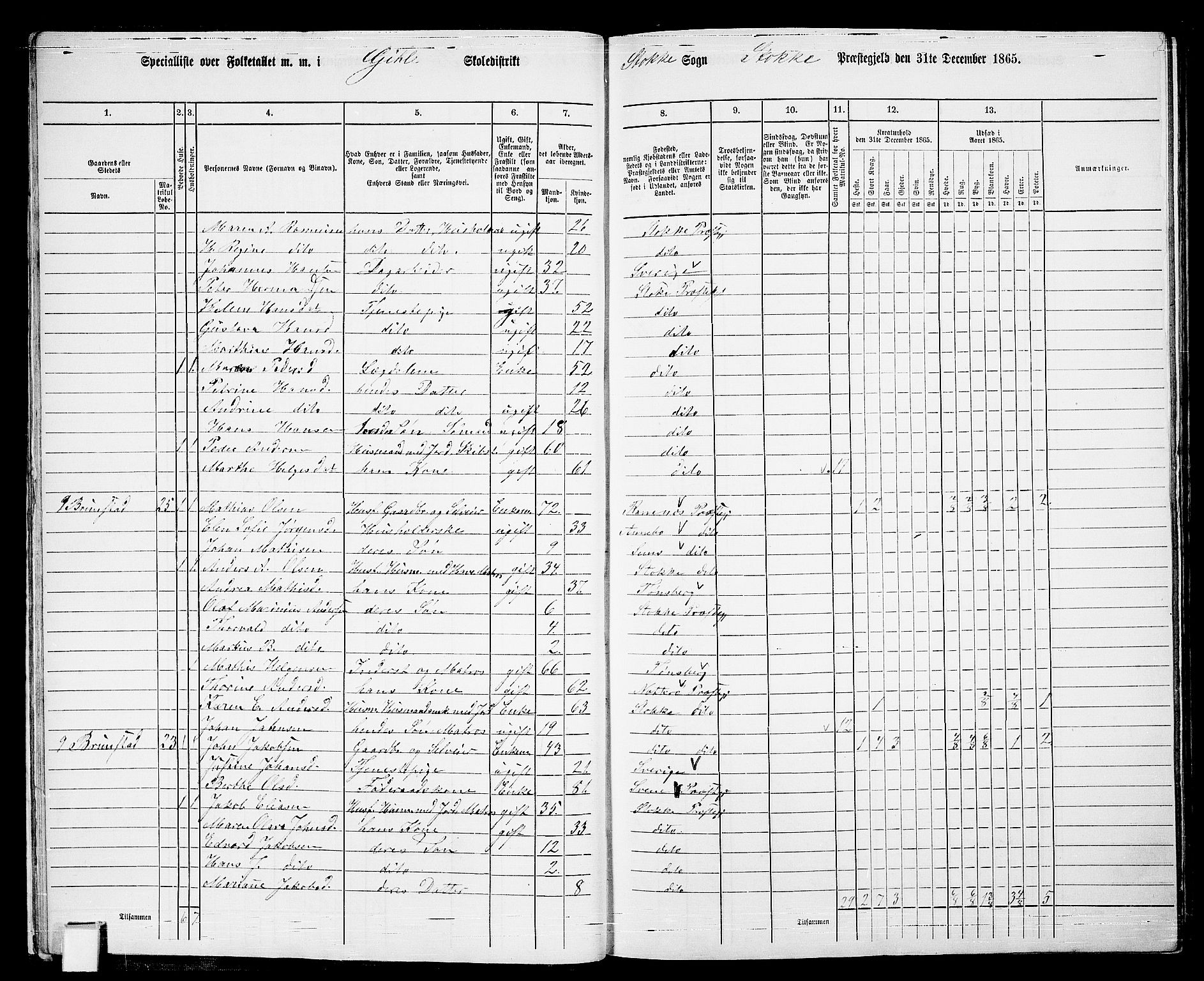 RA, Folketelling 1865 for 0720P Stokke prestegjeld, 1865, s. 22